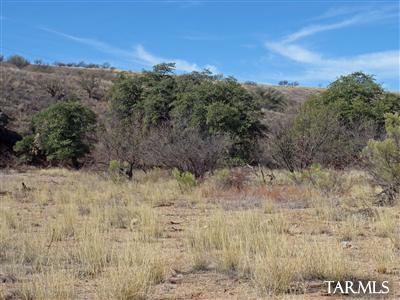 Mature Oak and Mesquite trees abound this beautiful 4.18 ac parcel with beautiful views of the Patagonia Mountains.Electric & phone access at lot line. Private well drilled and capped. Enjoy all the recreational possibilities at nearby Lake Patagonia State Park. This is an exceptional value!   Patagonia is used as marketing address, mailing address is Nogales, Az.  See documents for more information.
