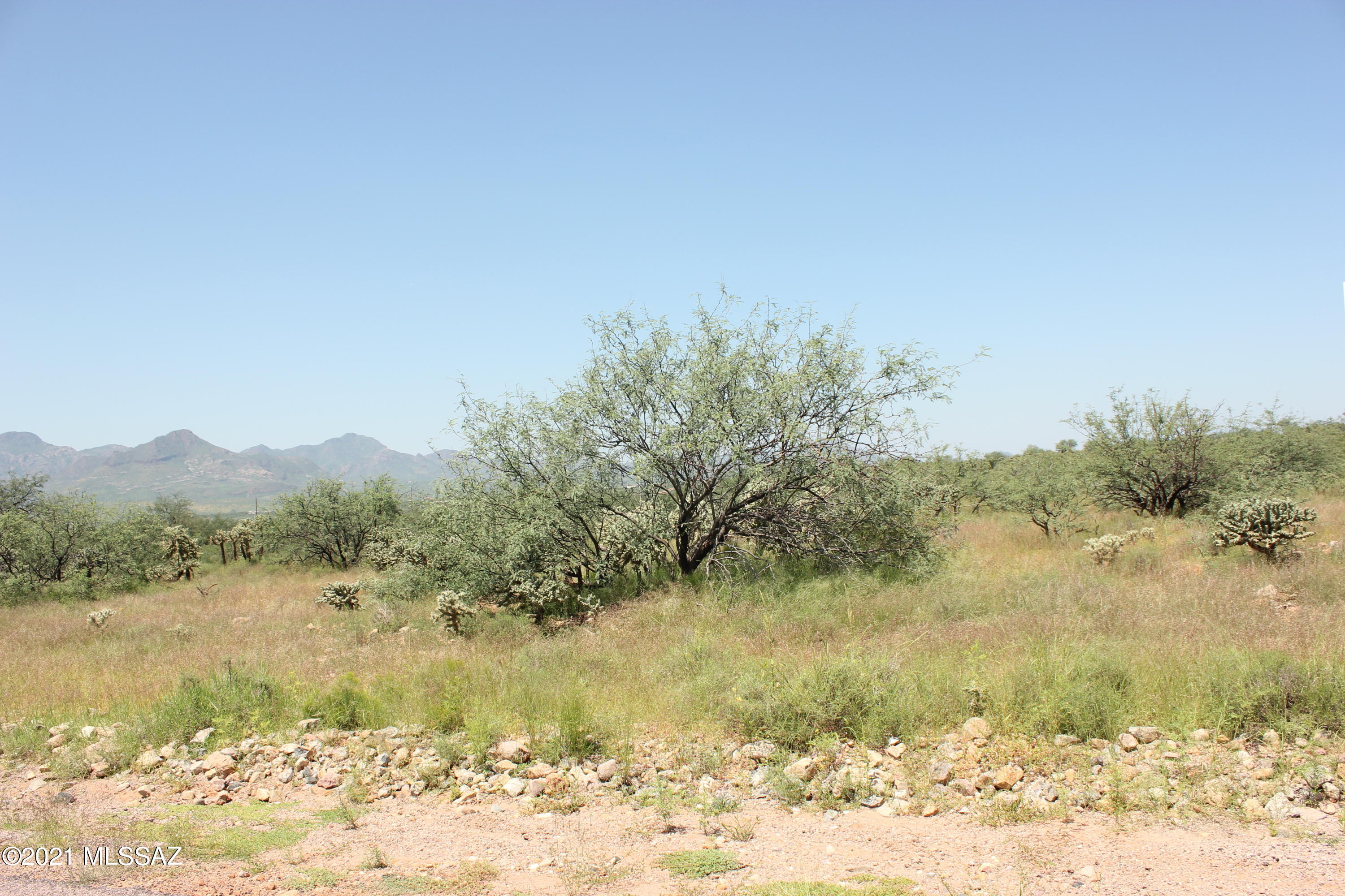 This residential lot is a flag lot that sits back behind another lot in front.   Located not far from the Palo Parado bridge Rd. out to I-19.