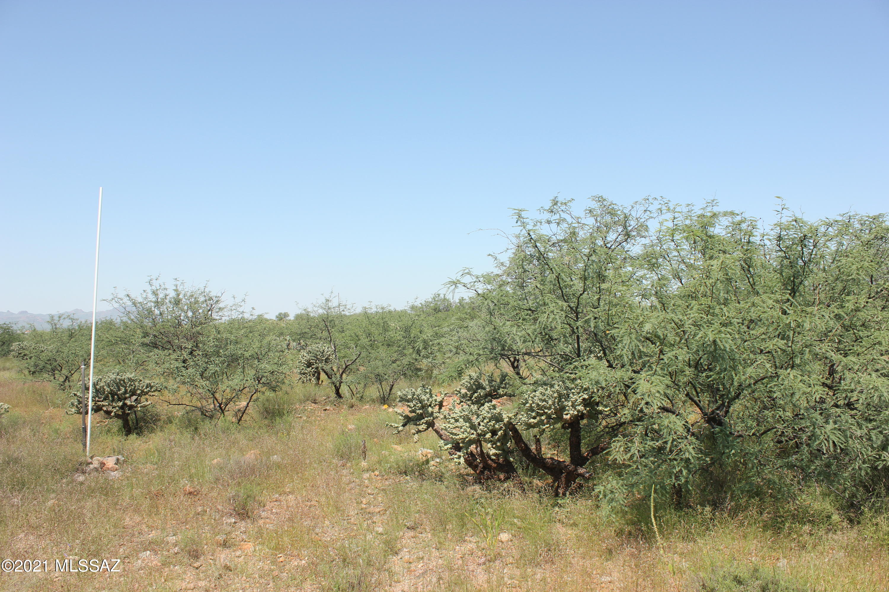 Rio Rico Ranchettes 18 - Land