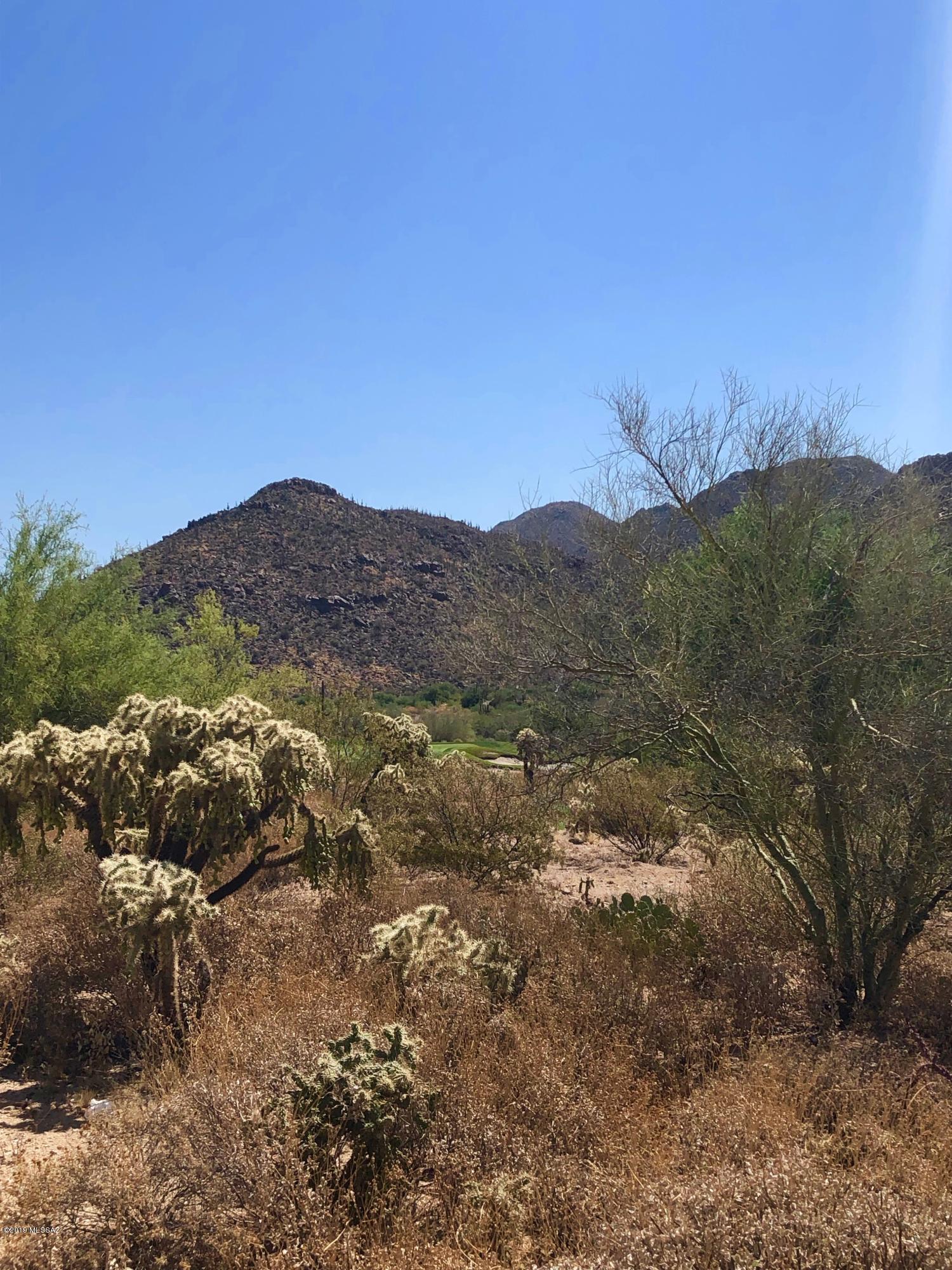 Dove Mountain Resort (1-153) - Land