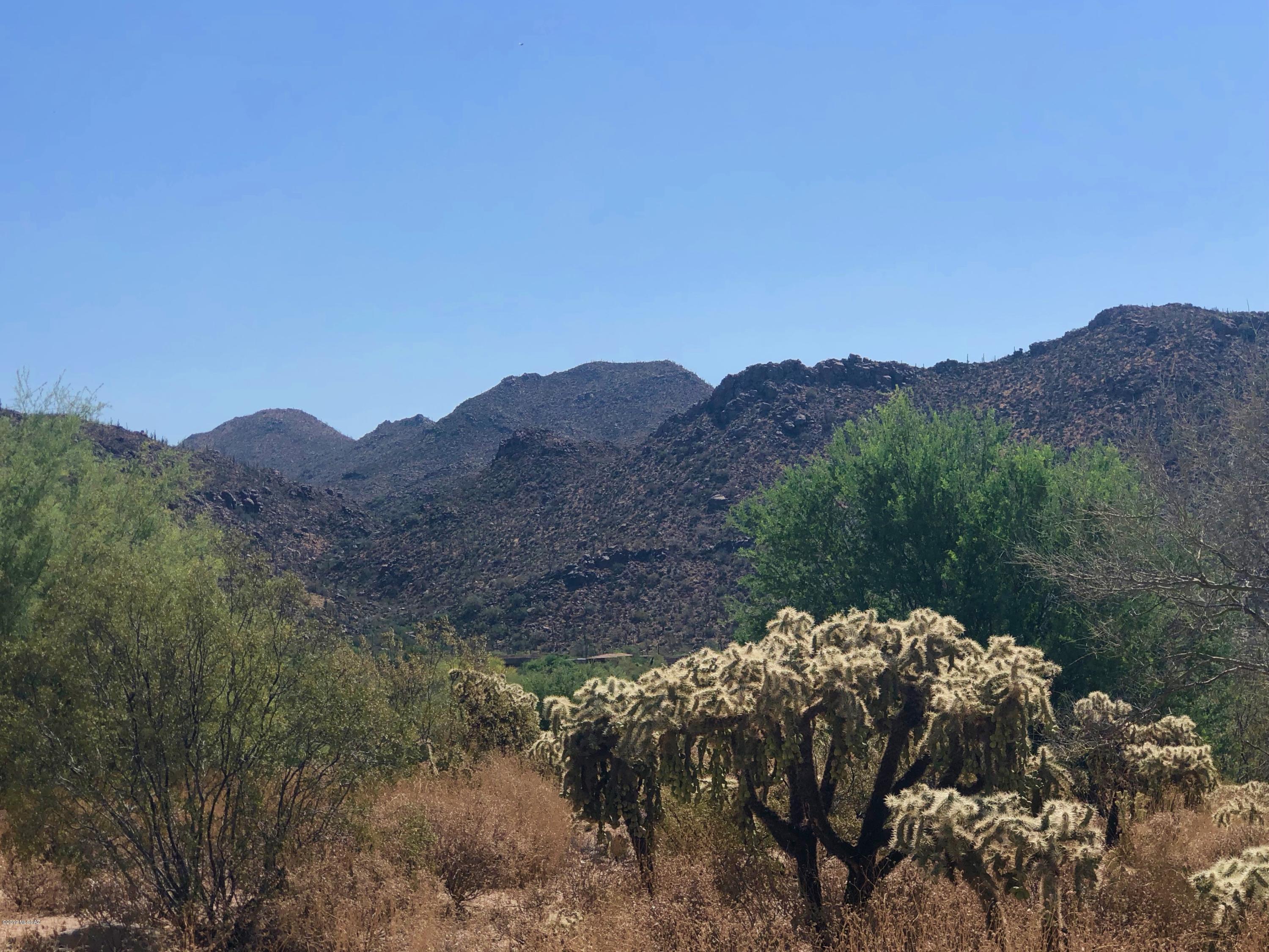 Dove Mountain Resort (1-153) - Land