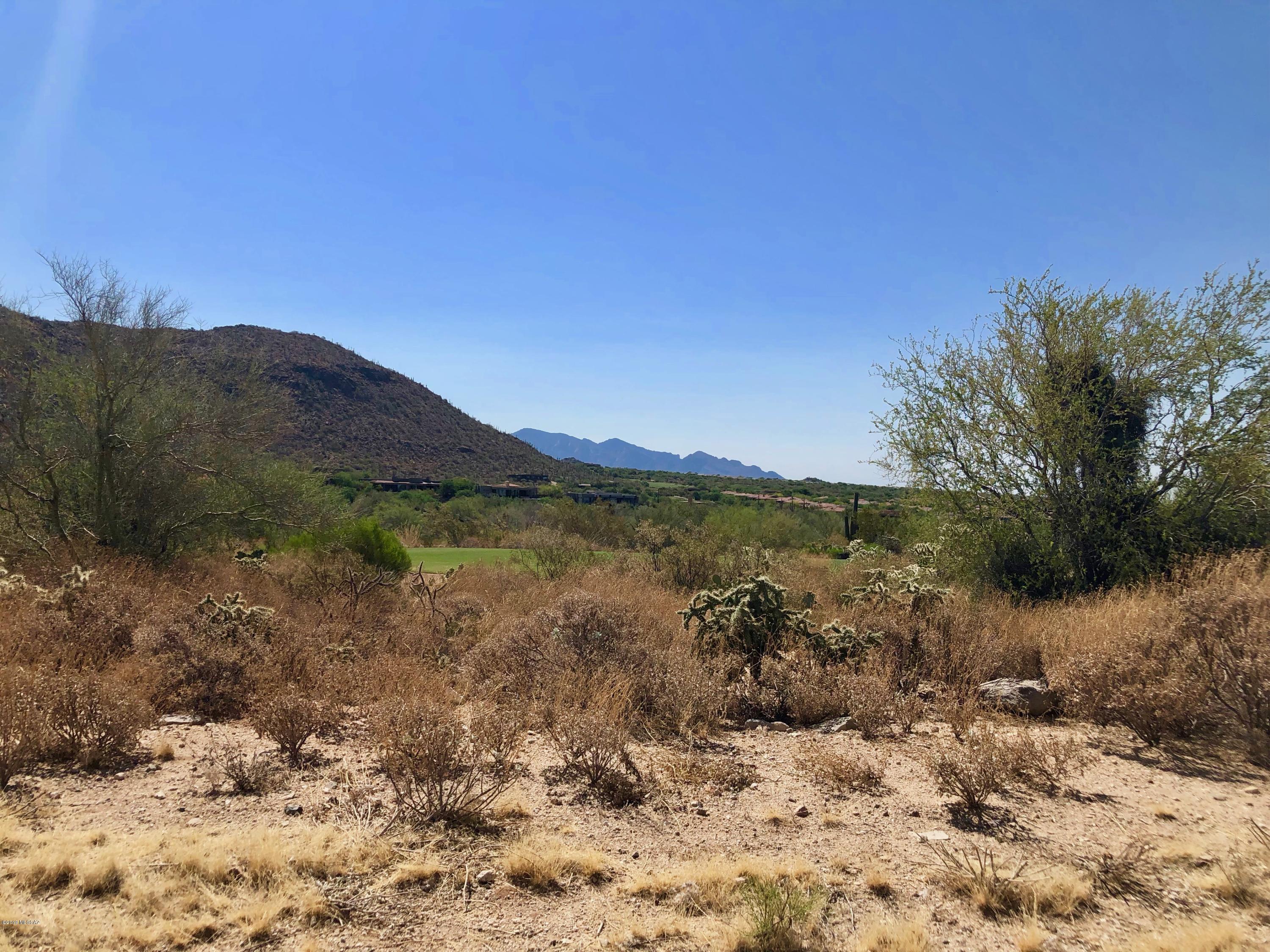 Dove Mountain Resort (1-153) - Land