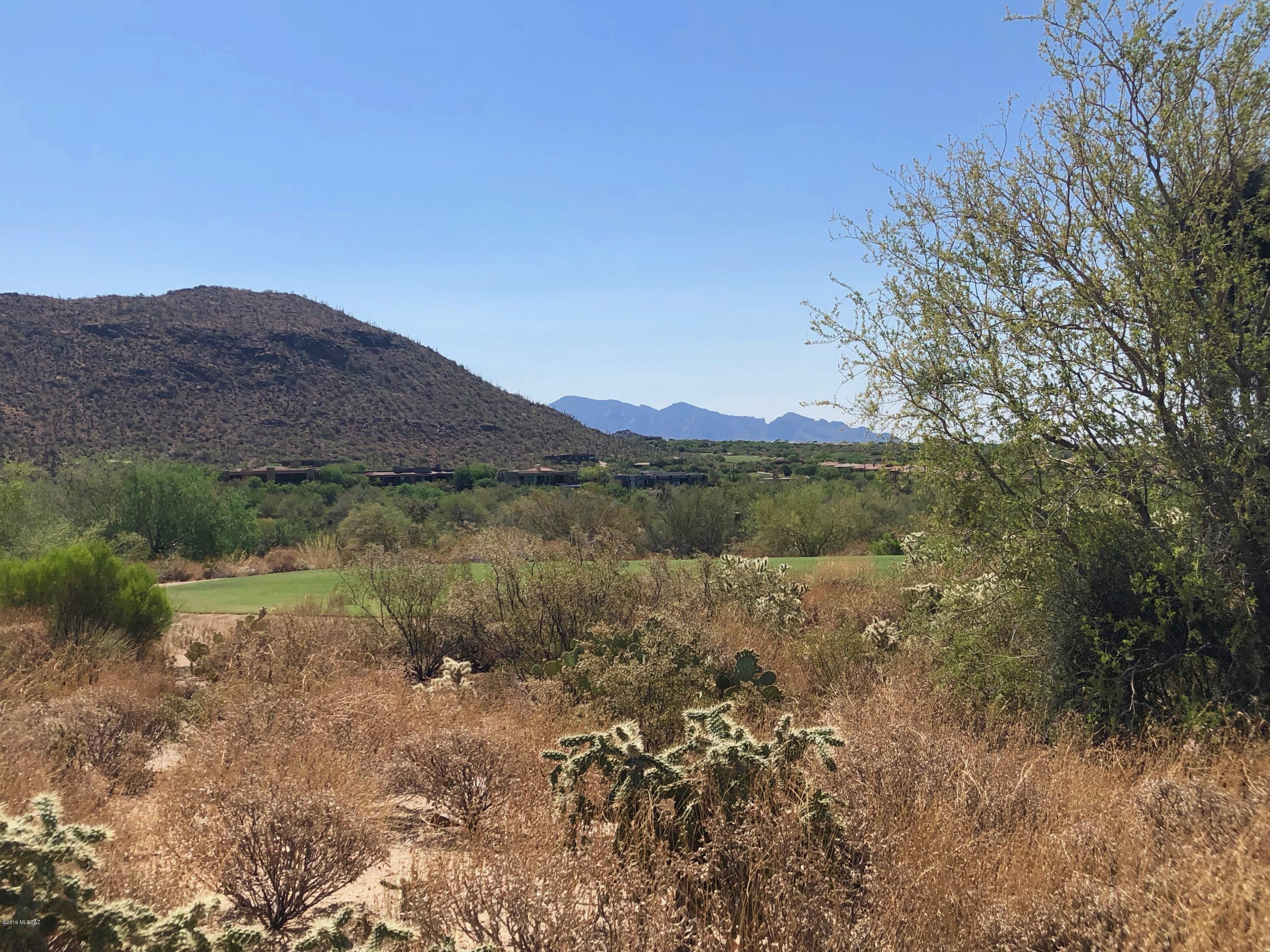 Dove Mountain Resort (1-153) - Land