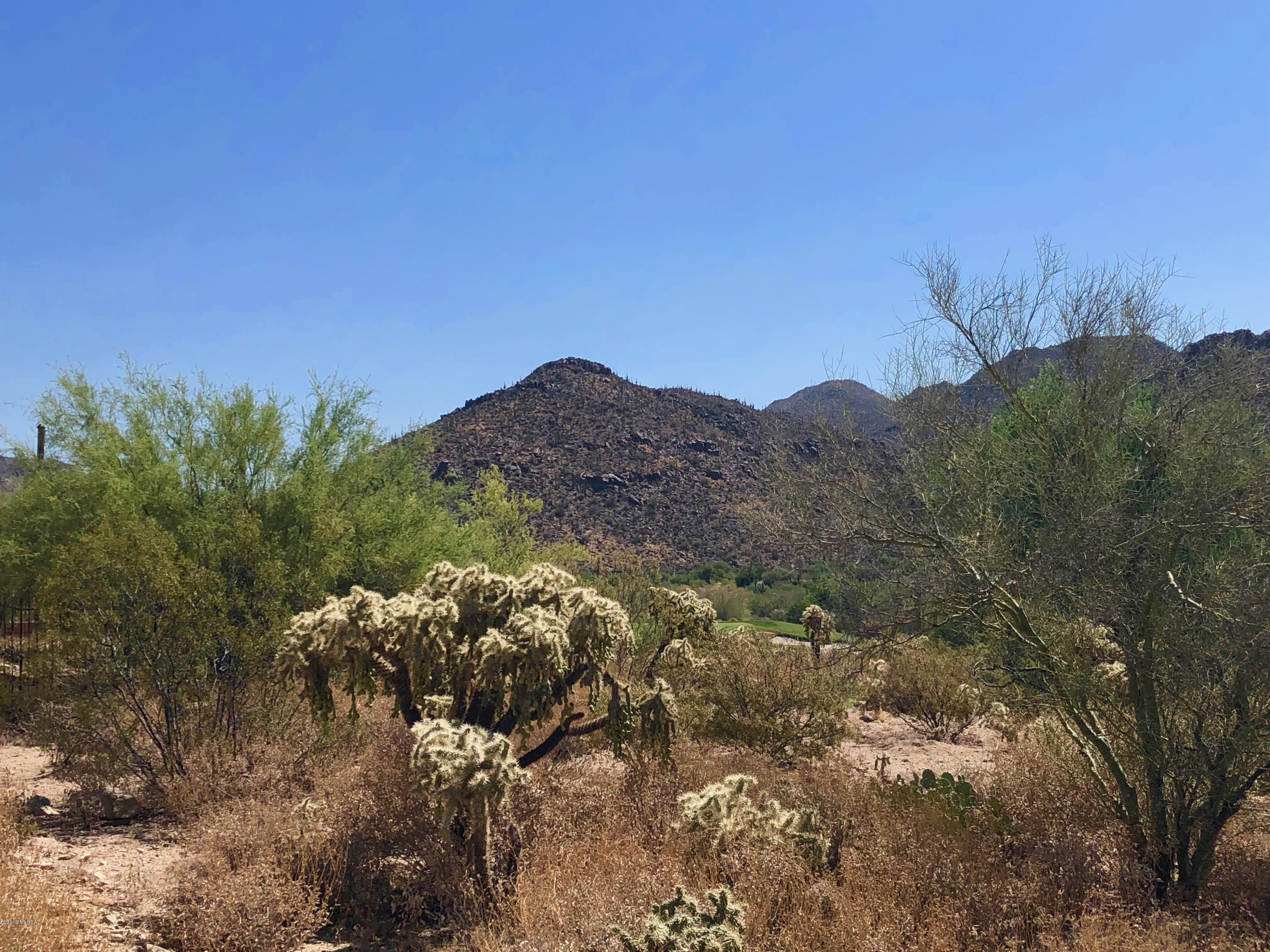 Dove Mountain Resort (1-153) - Land