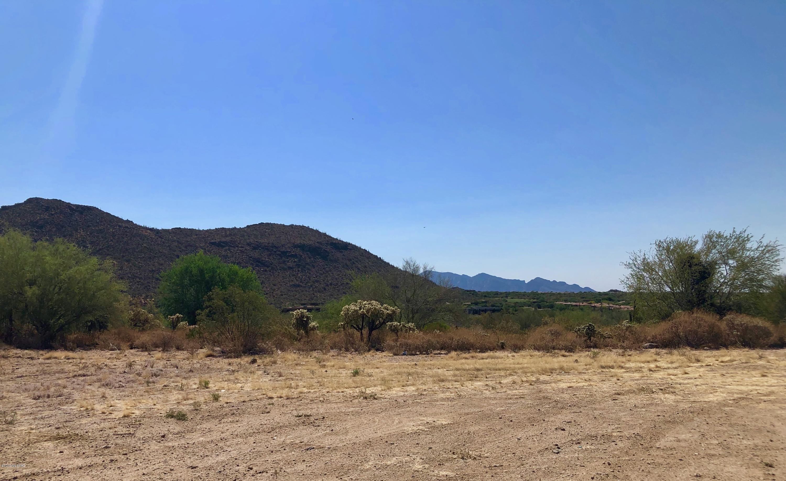 Dove Mountain Resort (1-153) - Land