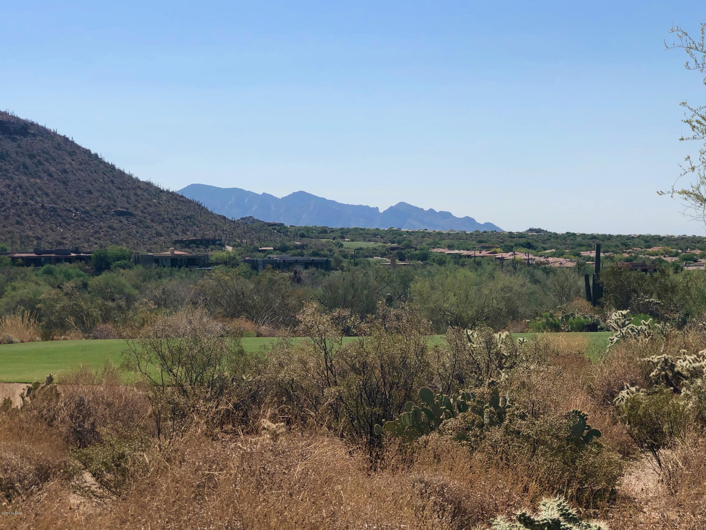 Dove Mountain Resort (1-153) - Land