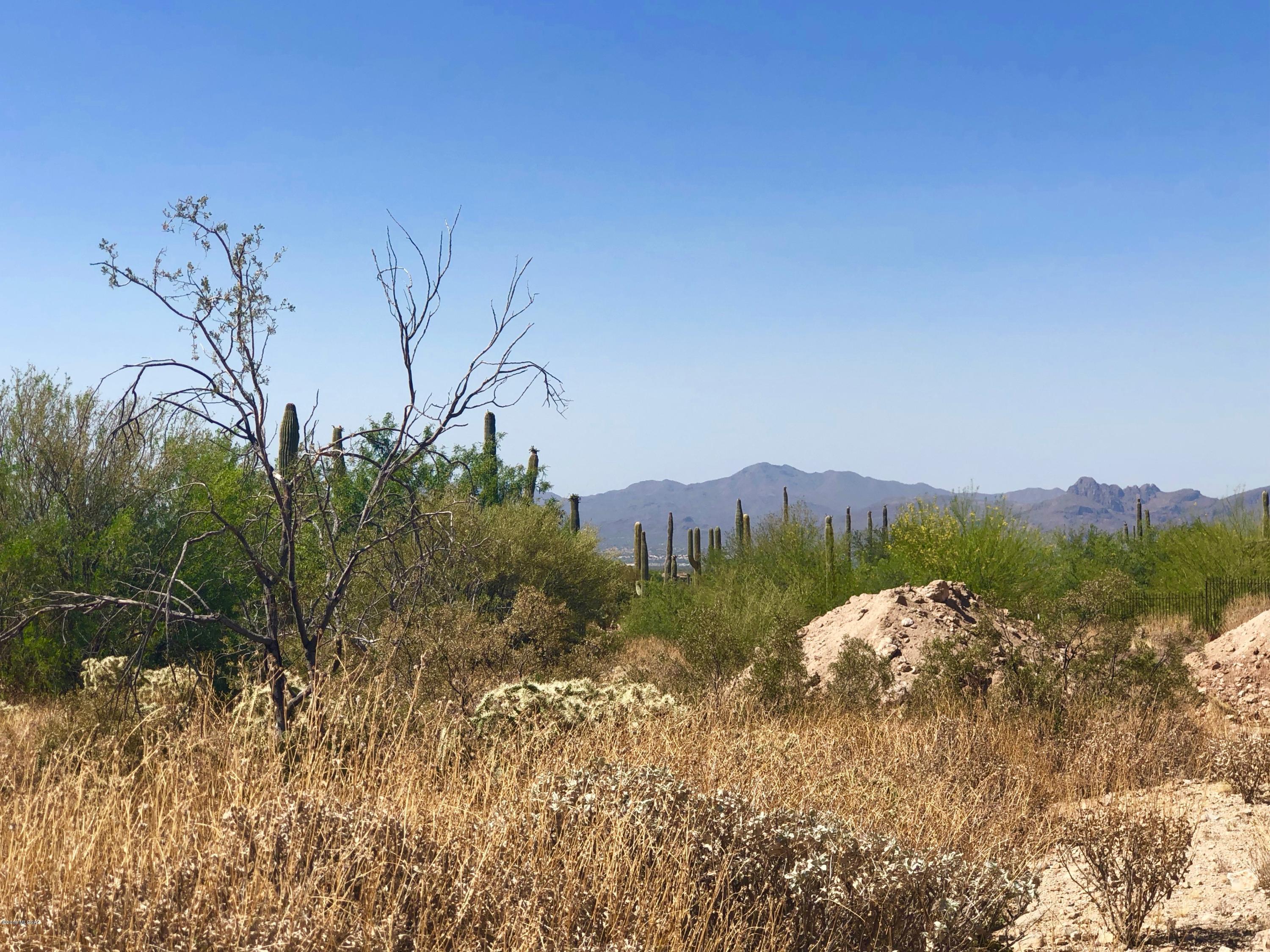 Dove Mountain Resort (1-153) - Land