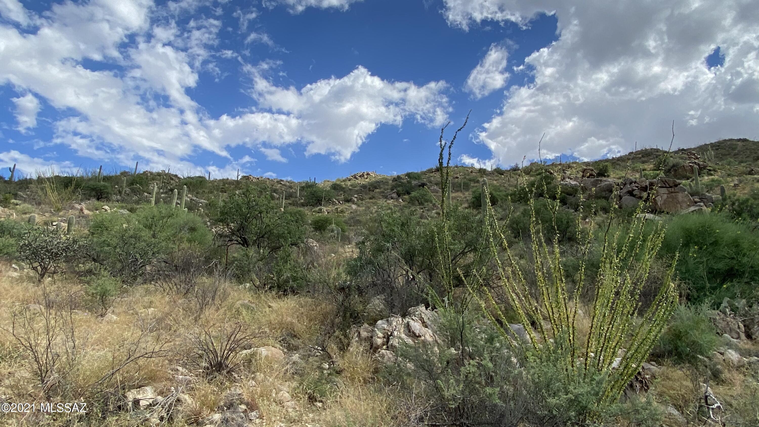 Canyon Pass III At Dove Mountain (111-181) - Land