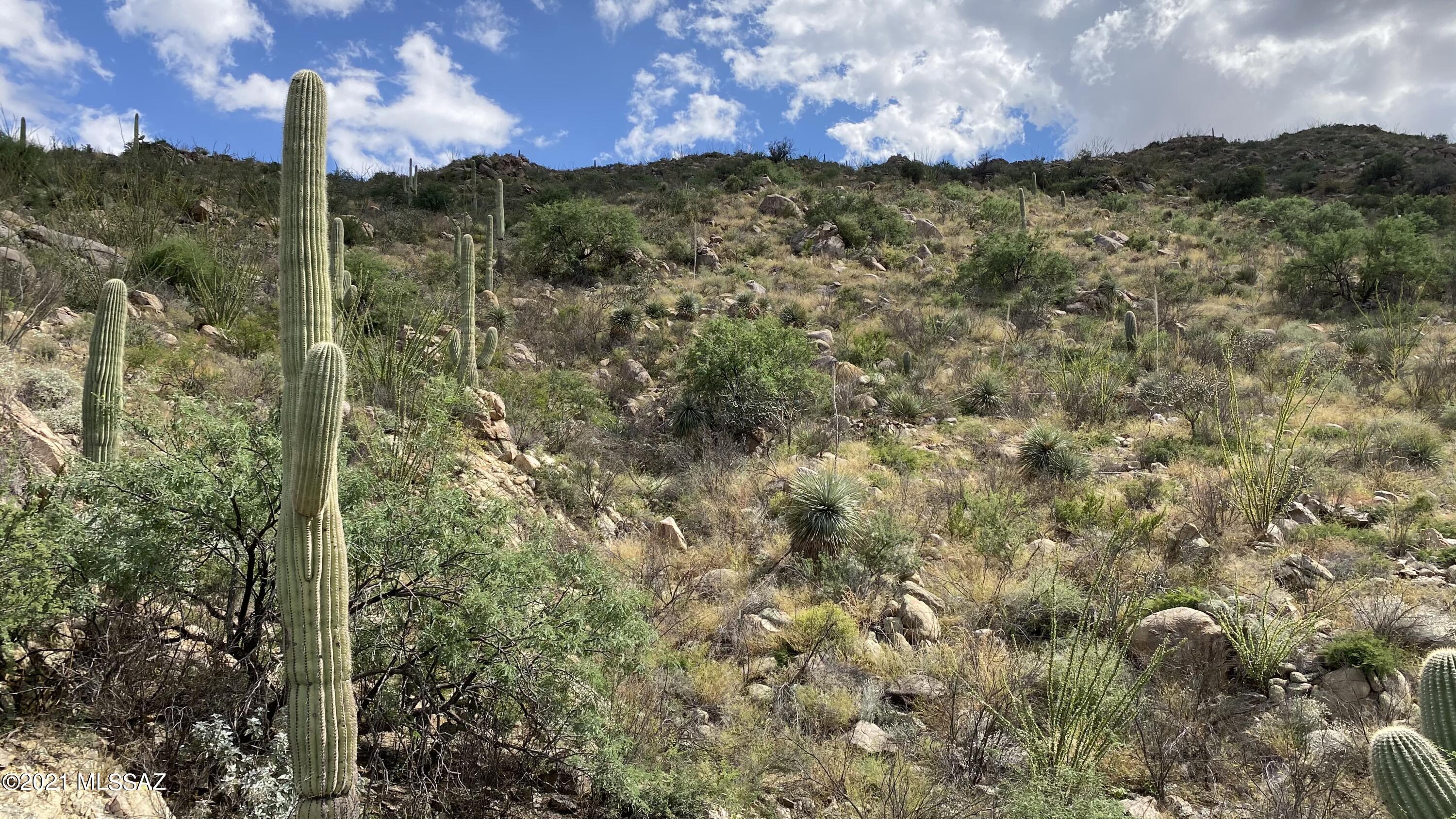 Canyon Pass III At Dove Mountain (111-181) - Land