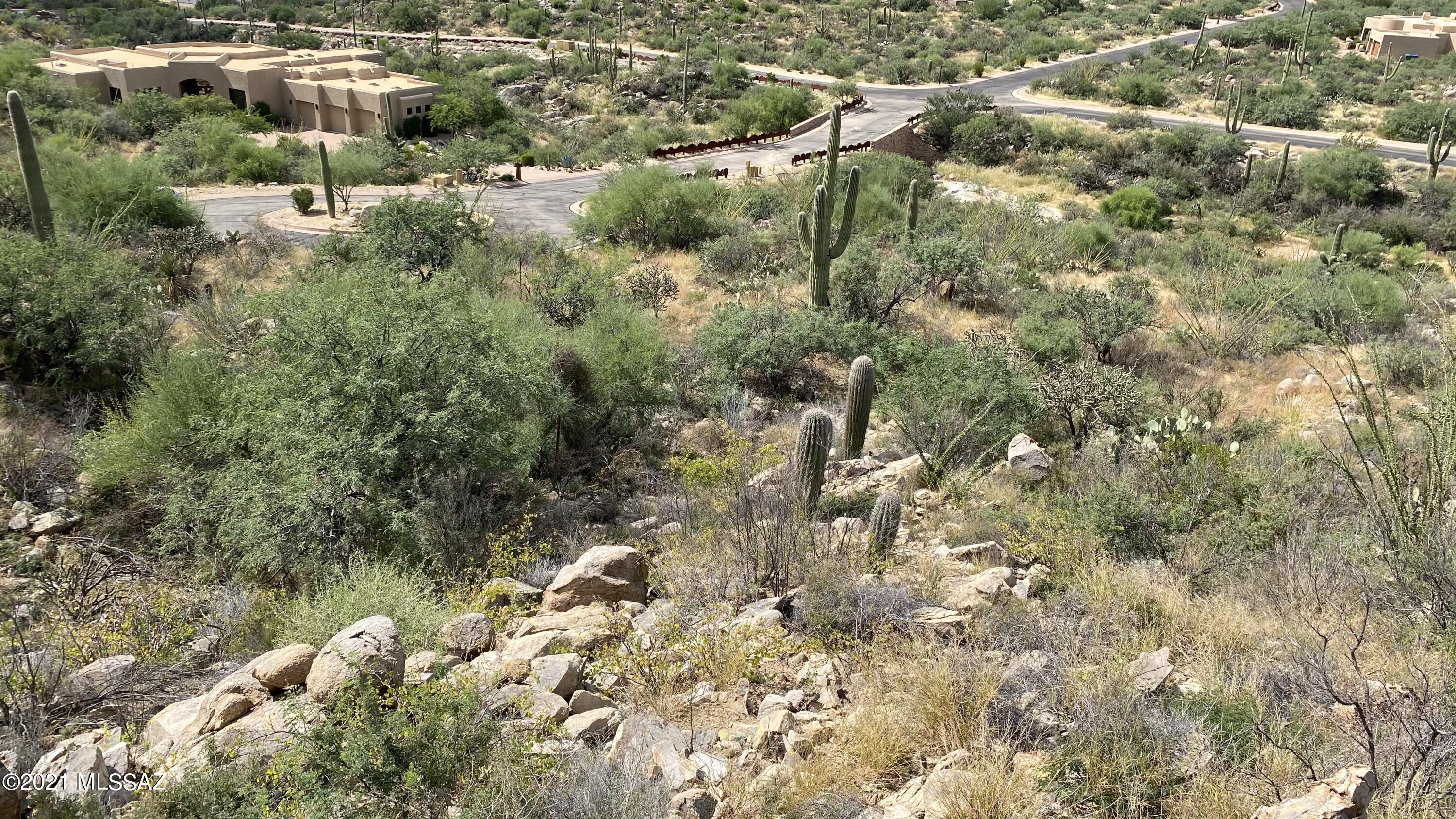 Canyon Pass III At Dove Mountain (111-181) - Land