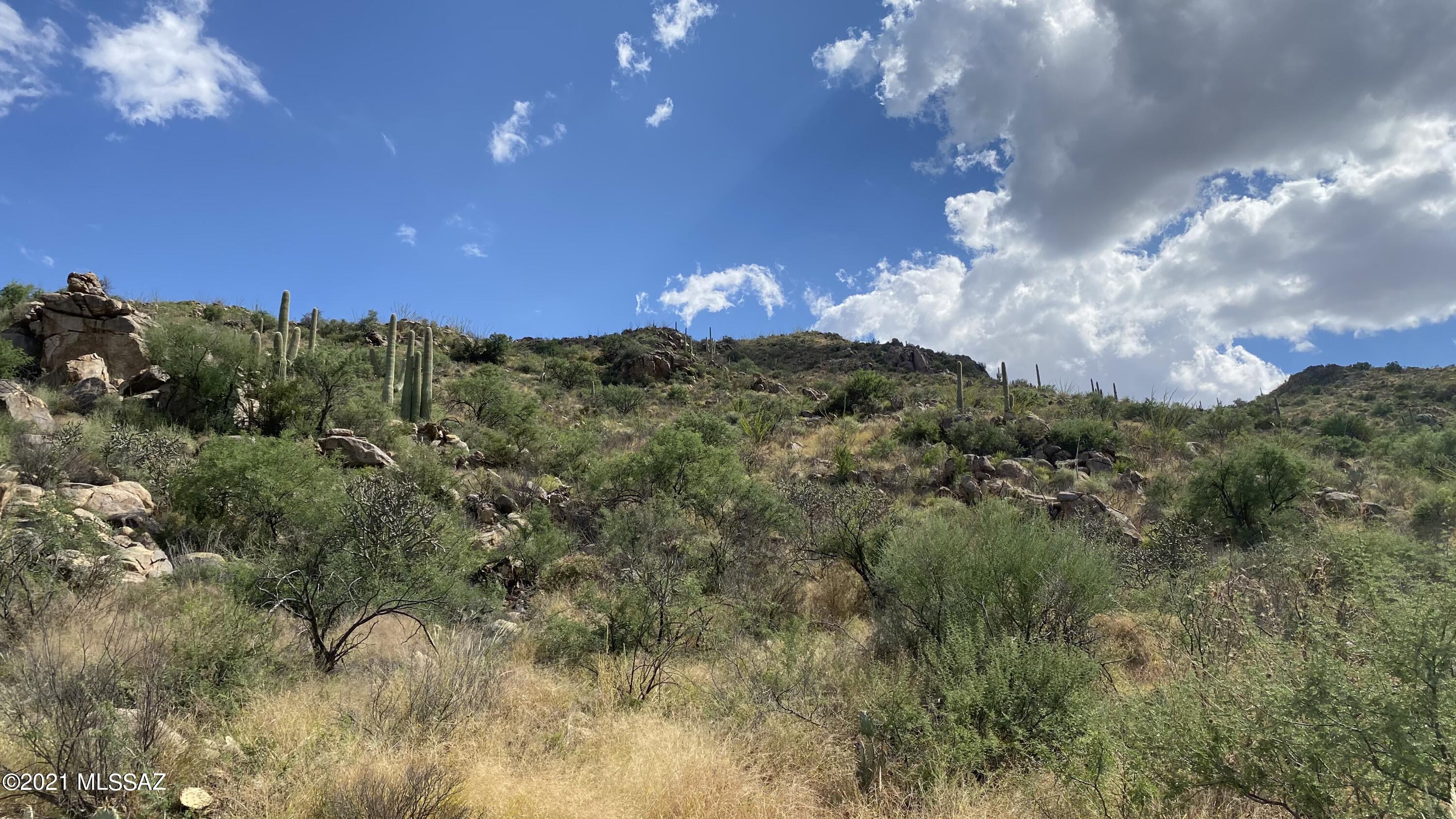 Canyon Pass III At Dove Mountain (111-181) - Land