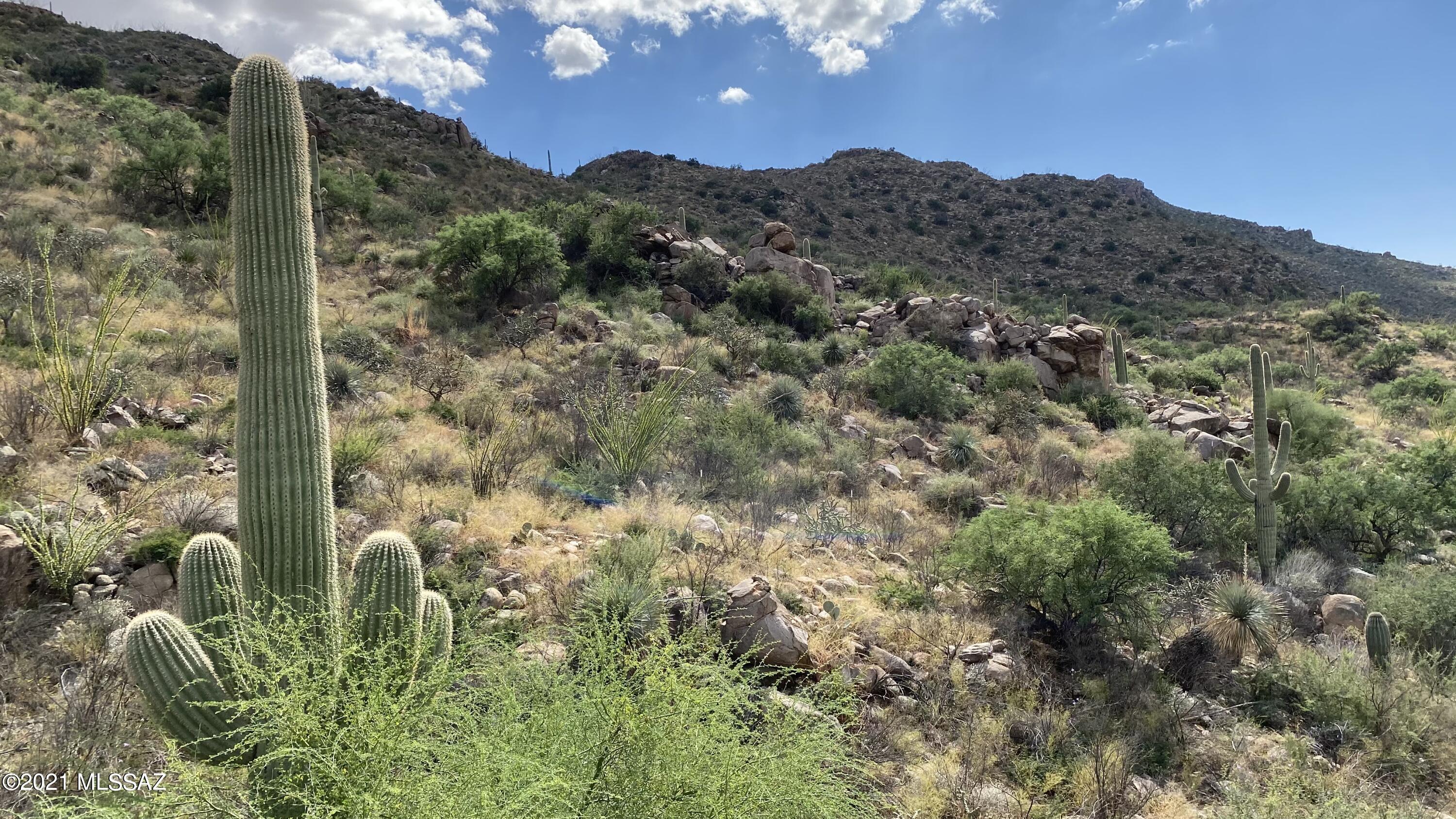 Canyon Pass III At Dove Mountain (111-181) - Land