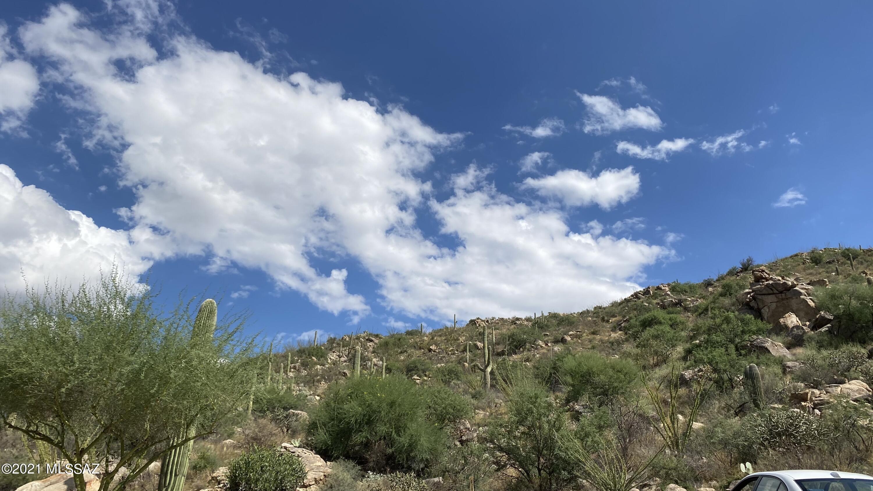 Canyon Pass III At Dove Mountain (111-181) - Land