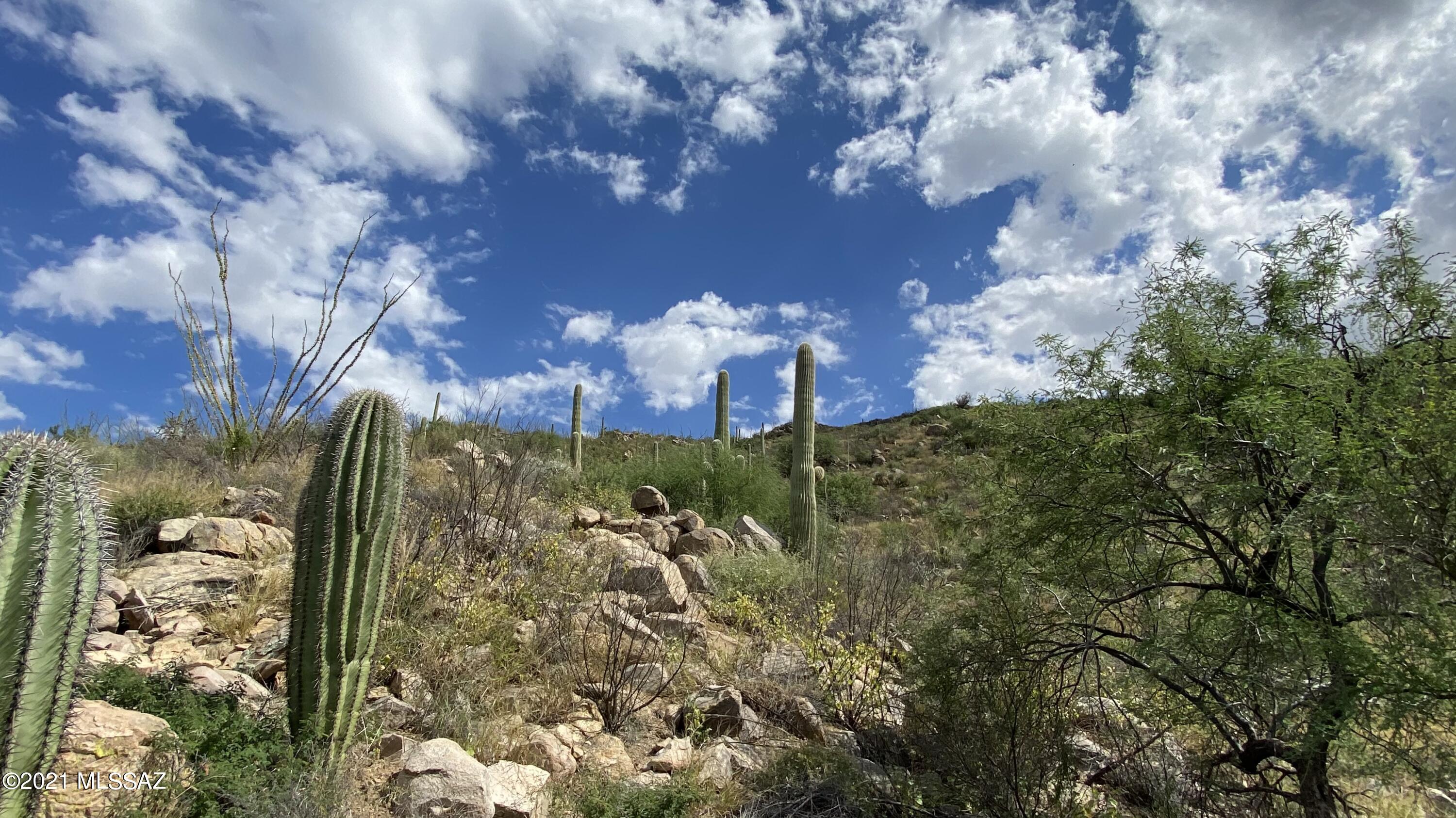 Canyon Pass III At Dove Mountain (111-181) - Land
