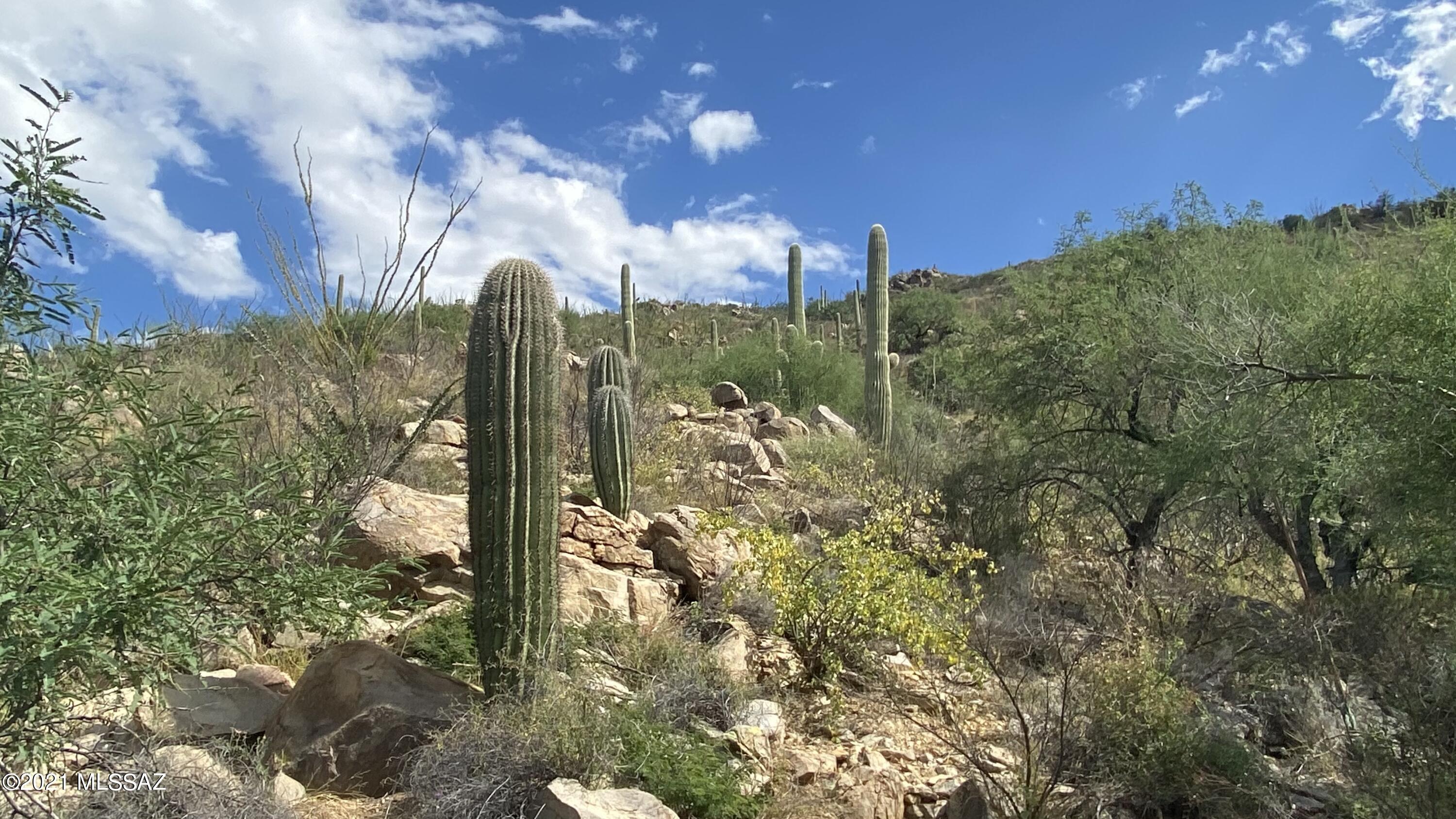 Canyon Pass III At Dove Mountain (111-181) - Land