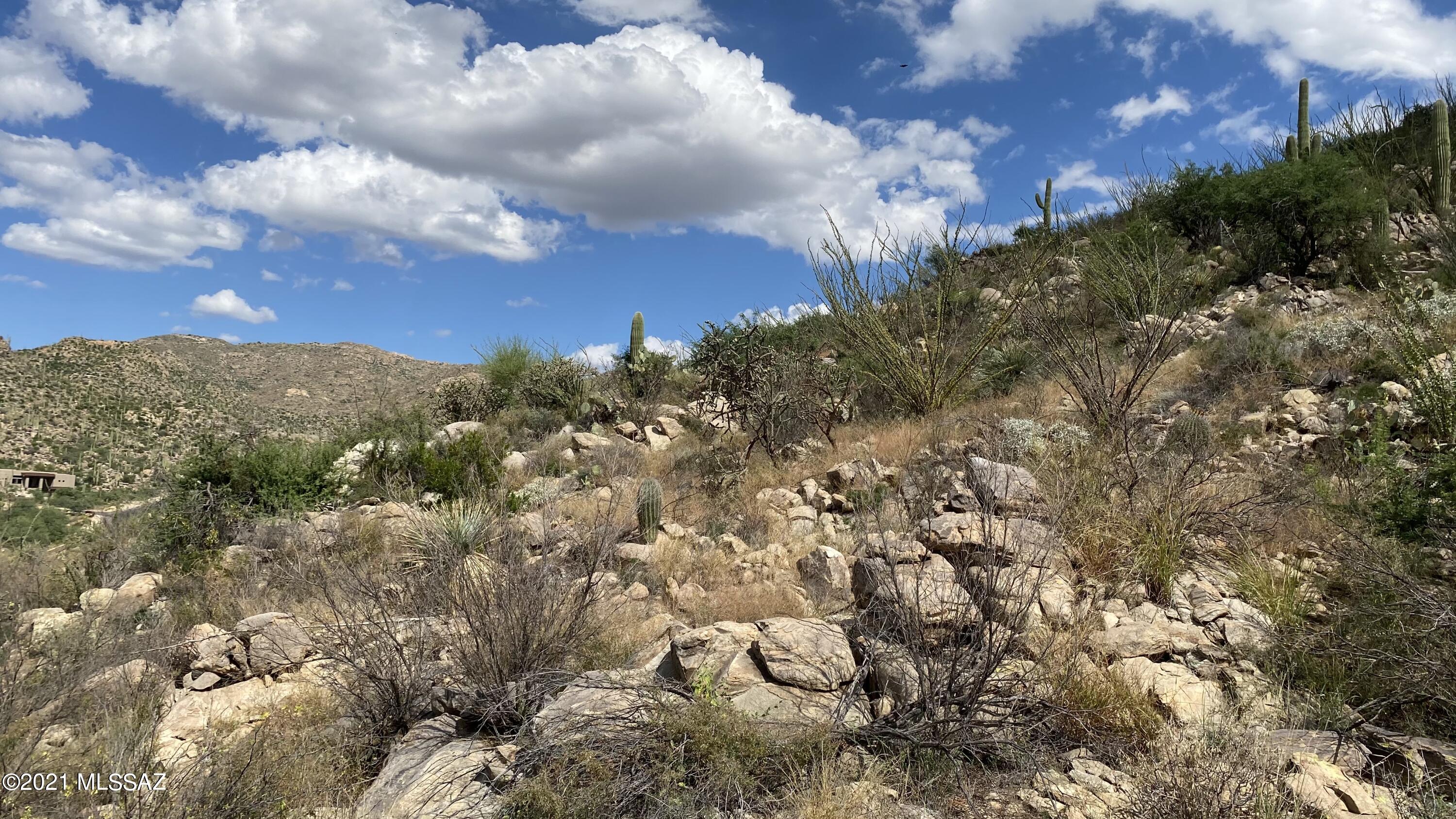 Canyon Pass III At Dove Mountain (111-181) - Land