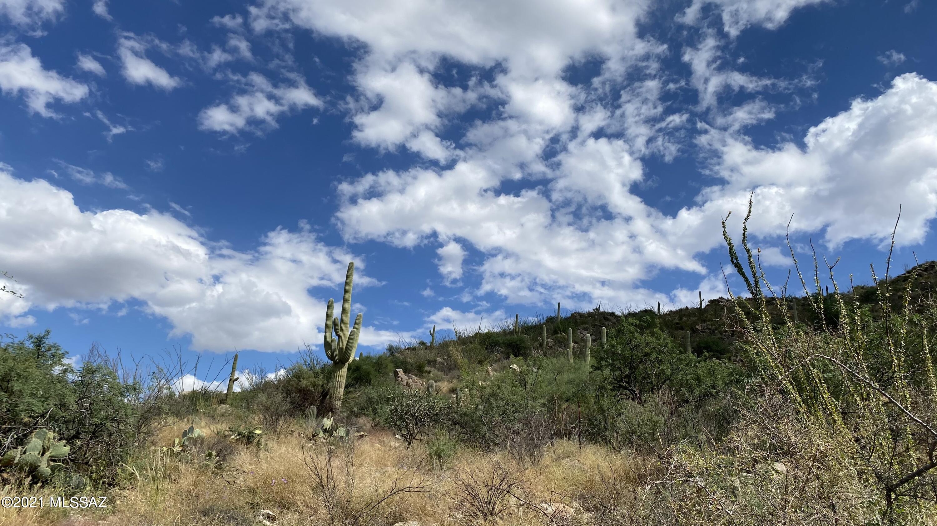 Canyon Pass III At Dove Mountain (111-181) - Land
