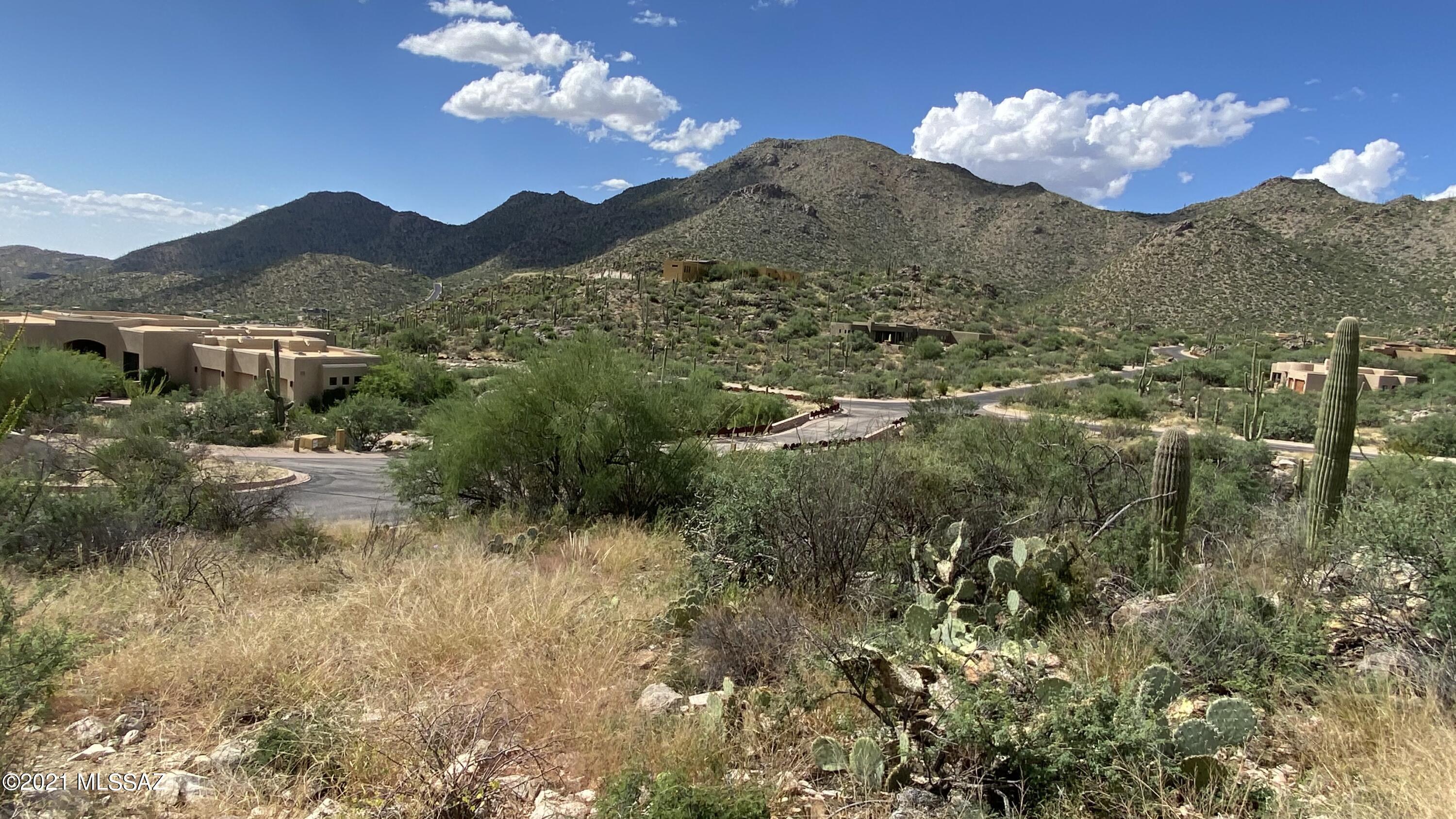 Canyon Pass III At Dove Mountain (111-181) - Land