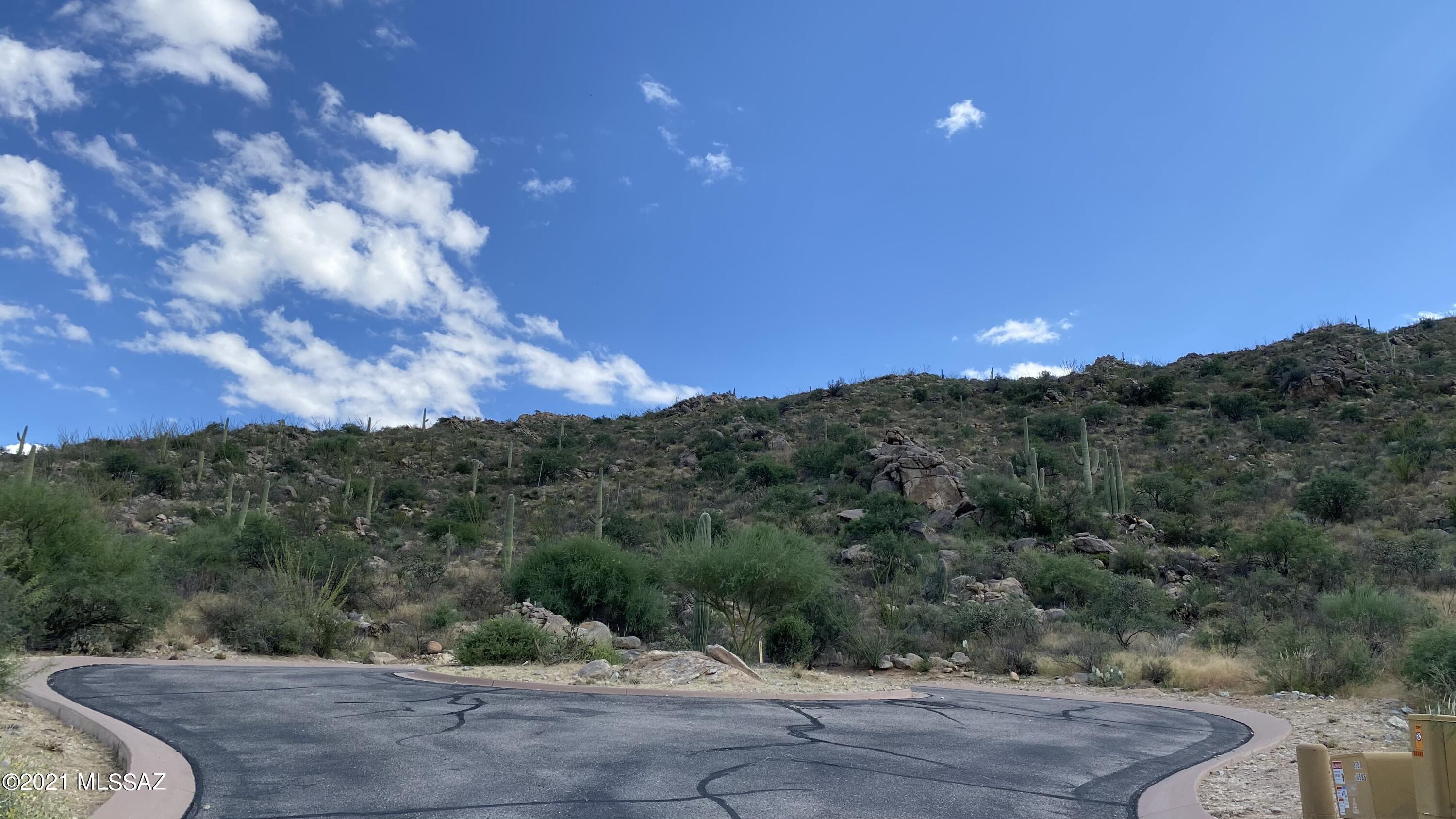 Canyon Pass III At Dove Mountain (111-181) - Land
