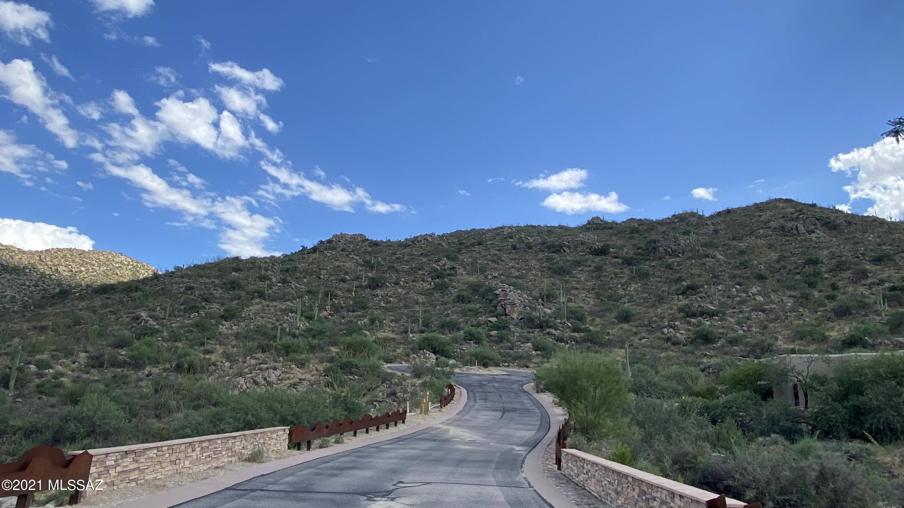 Canyon Pass III At Dove Mountain (111-181) - Land
