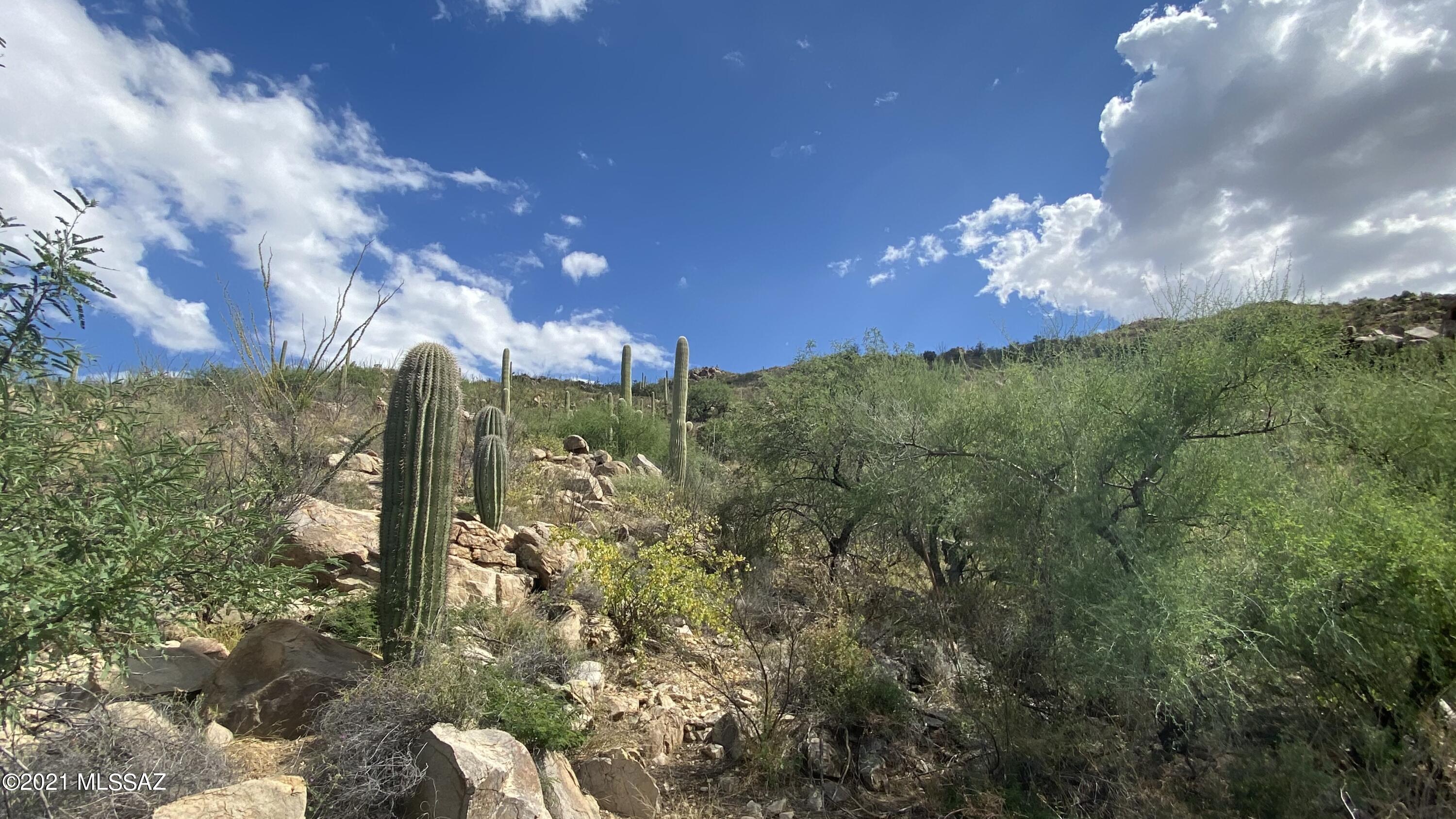 Canyon Pass III At Dove Mountain (111-181) - Land