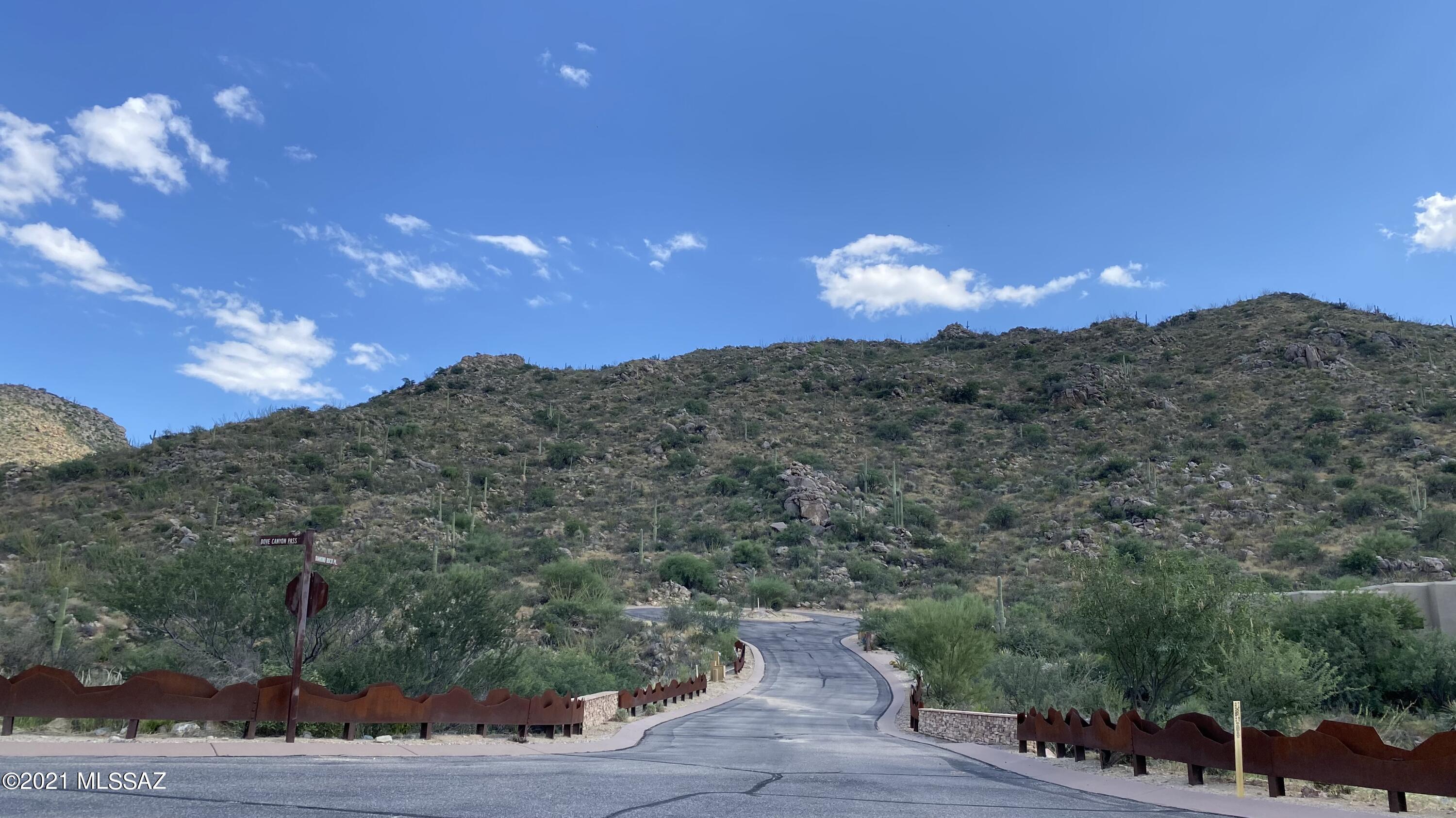 Canyon Pass III At Dove Mountain (111-181) - Land