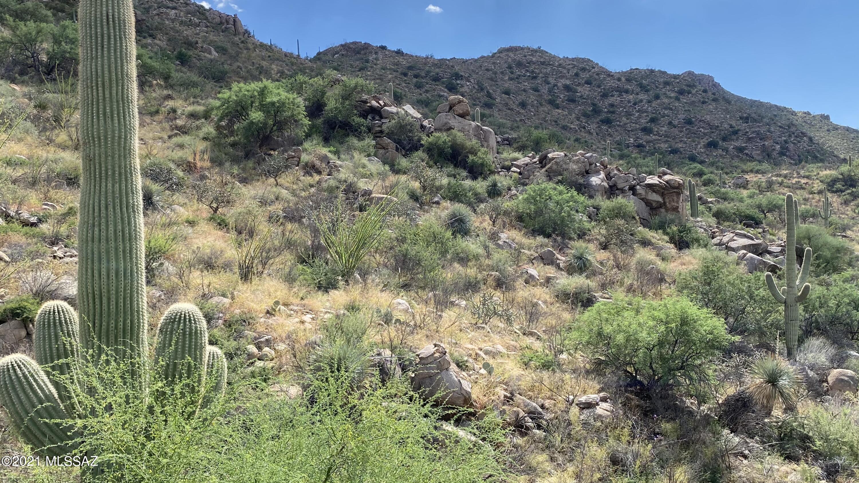 Canyon Pass III At Dove Mountain (111-181) - Land