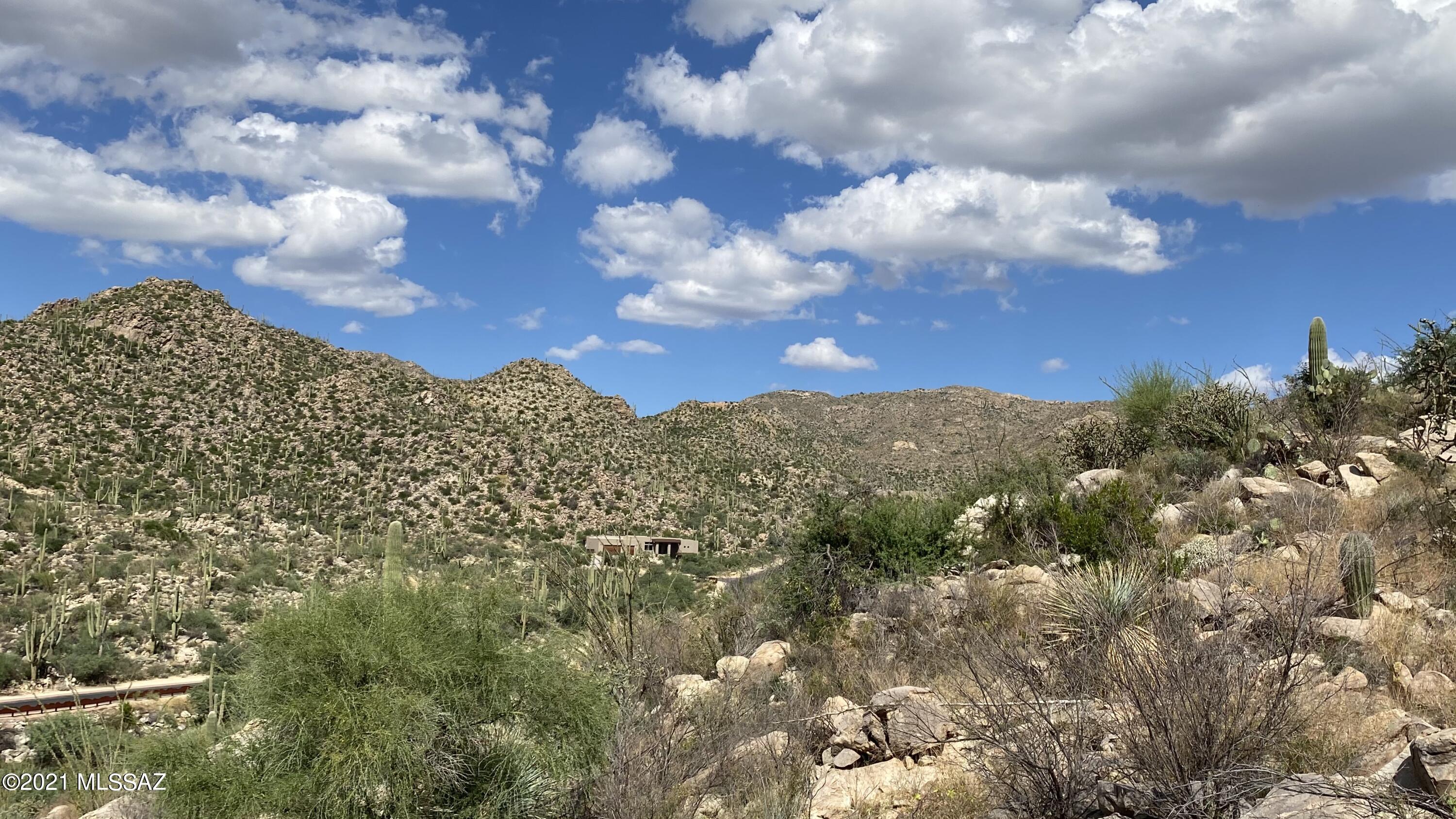 Canyon Pass III At Dove Mountain (111-181) - Land