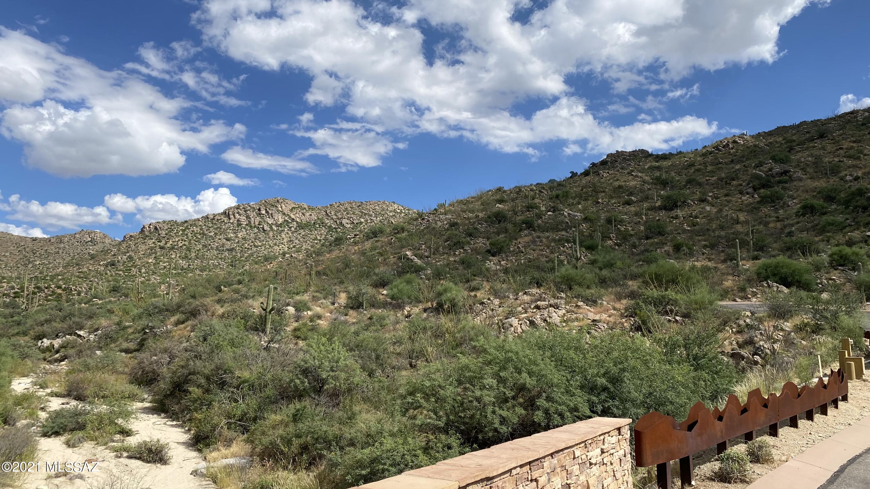 Canyon Pass III At Dove Mountain (111-181) - Land