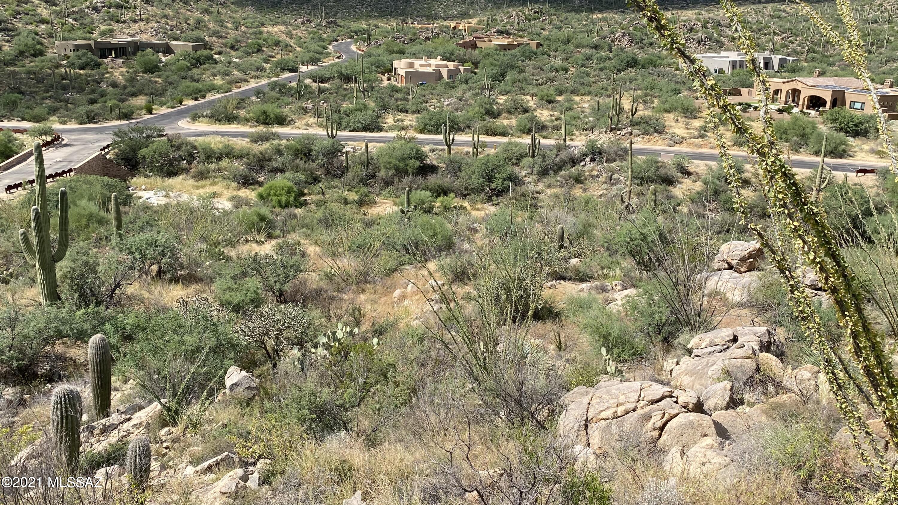 Canyon Pass III At Dove Mountain (111-181) - Land