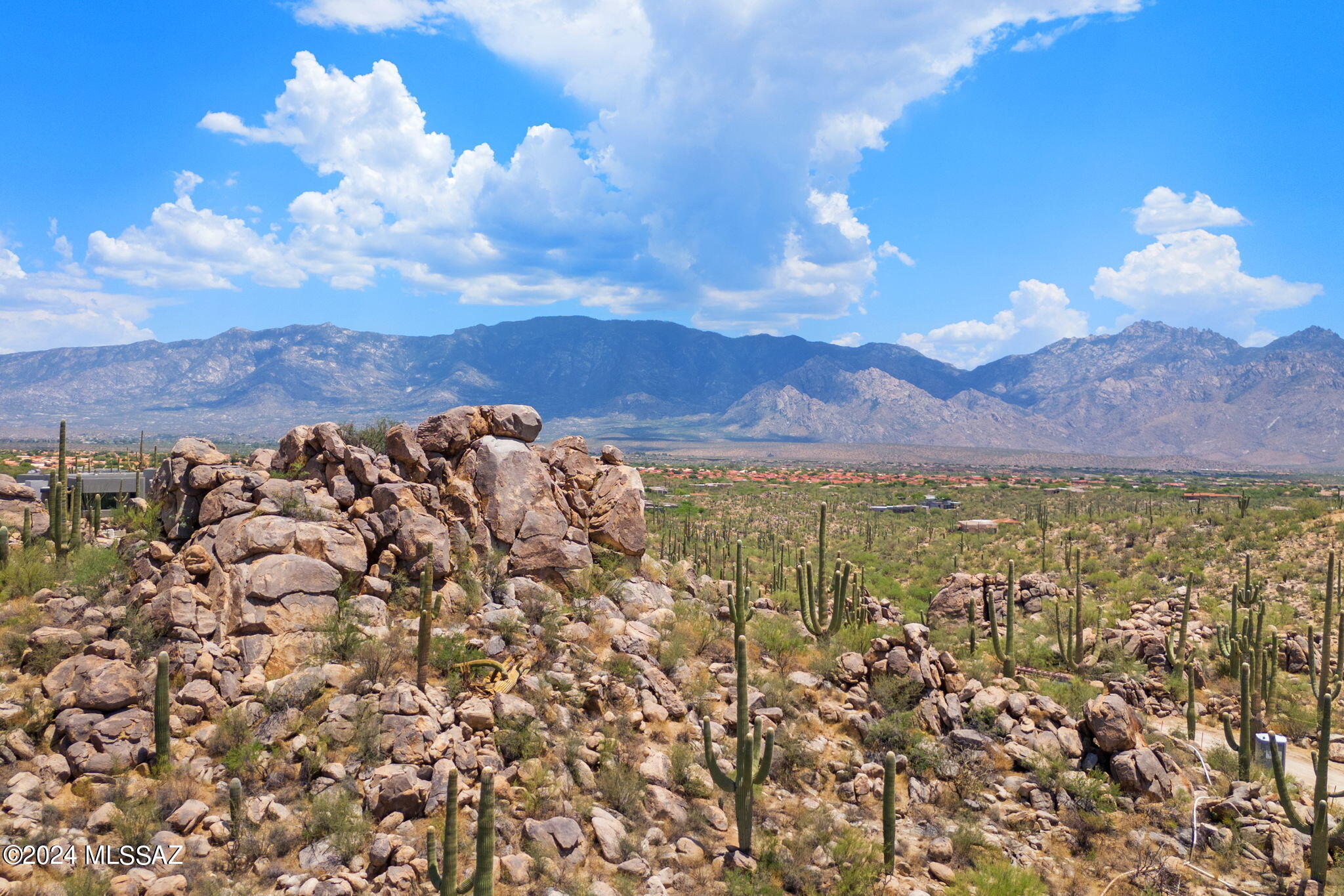 Stone Canyon VIII (486-602) - Land