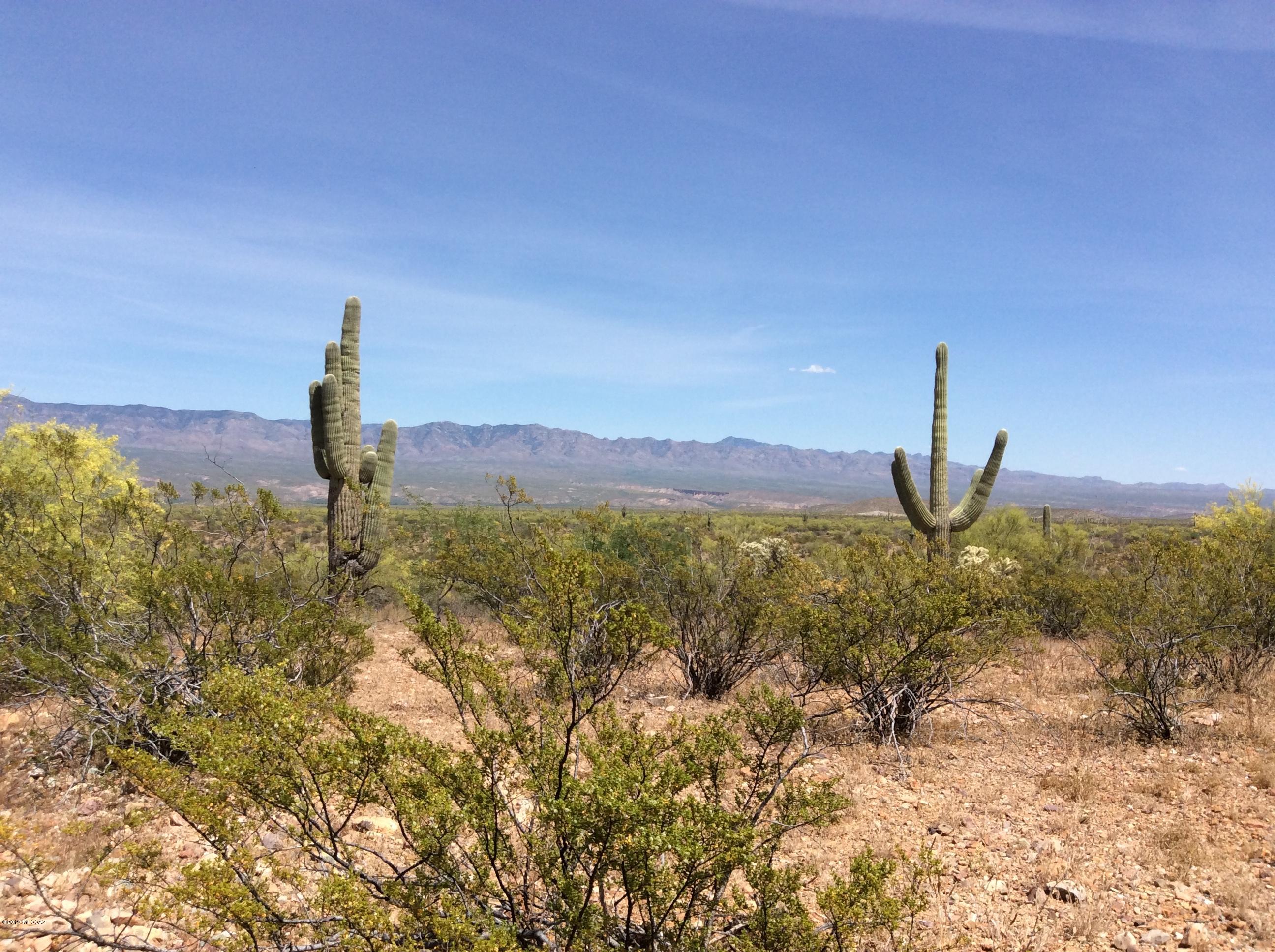 Beautiful land with breath taking views of the Catalina's and three other mountain ranges.  Large Saguaros and high Desert vegetation. remote for your private use, camping, ranching, farming or just quietness. High desert growth, with abundant wildlife. Year round temps for family and friends to enjoy away from it all. Plenty of room for hiking, camping, etc. Multiple building sites for stick built or manufactured home. GREAT PROPERTY AT A GREAT PRICE FOR 40 ACRES. 360 degree mountain views.  No recorded easements or right a ways across the state land there is recorded easements across the privately owned property's .