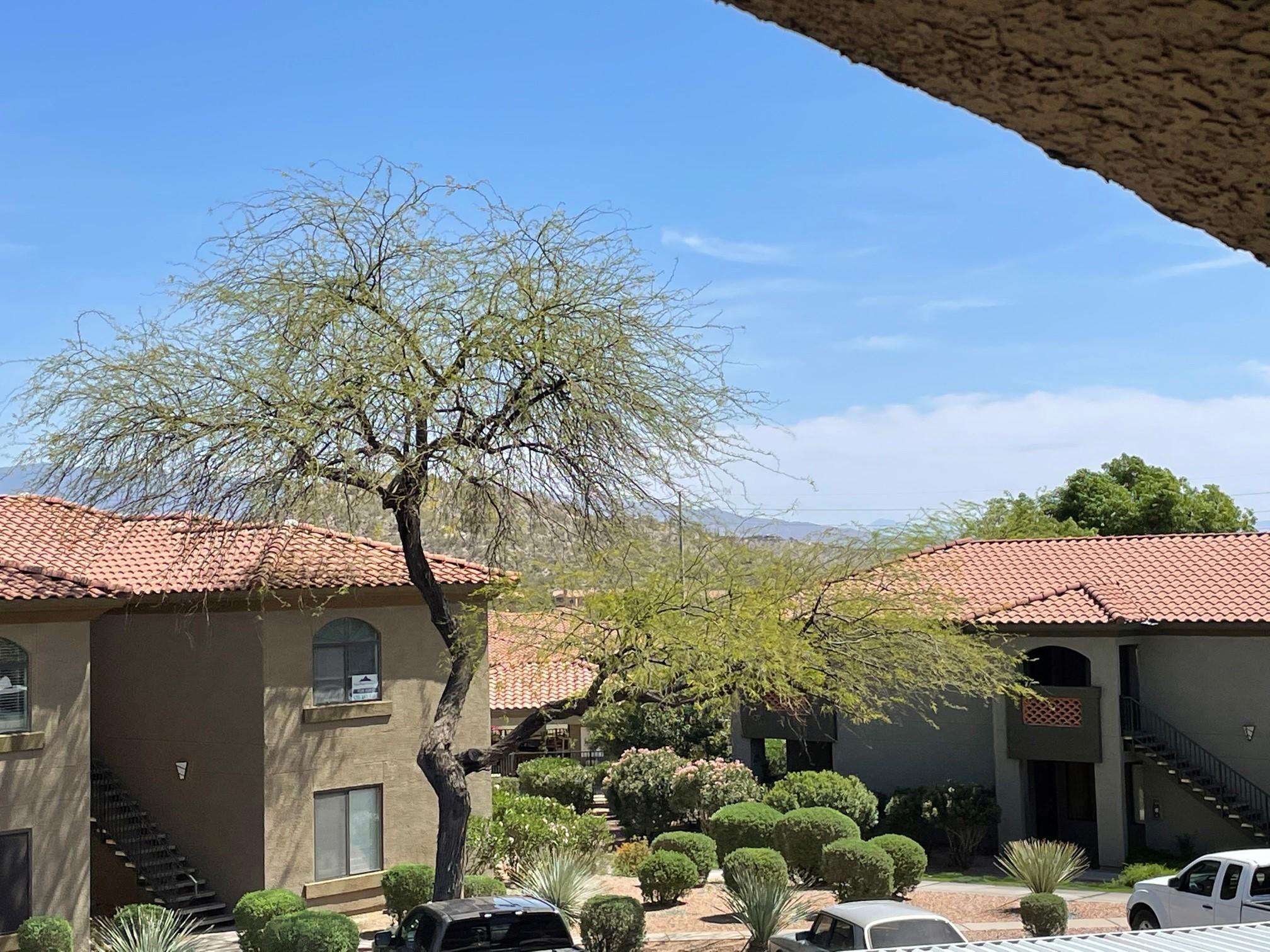 Veranda at Ventana Condominiums - Residential Lease