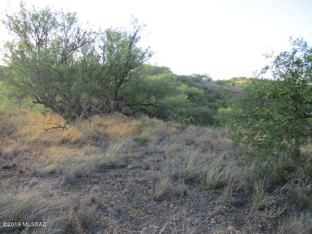Rio Rico Estates - Land