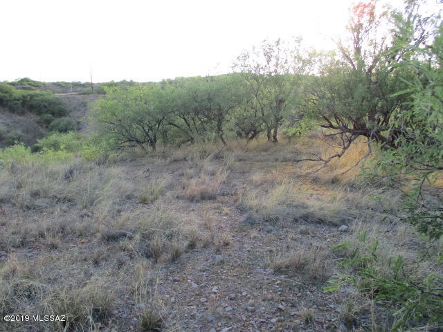 Rio Rico Estates - Land