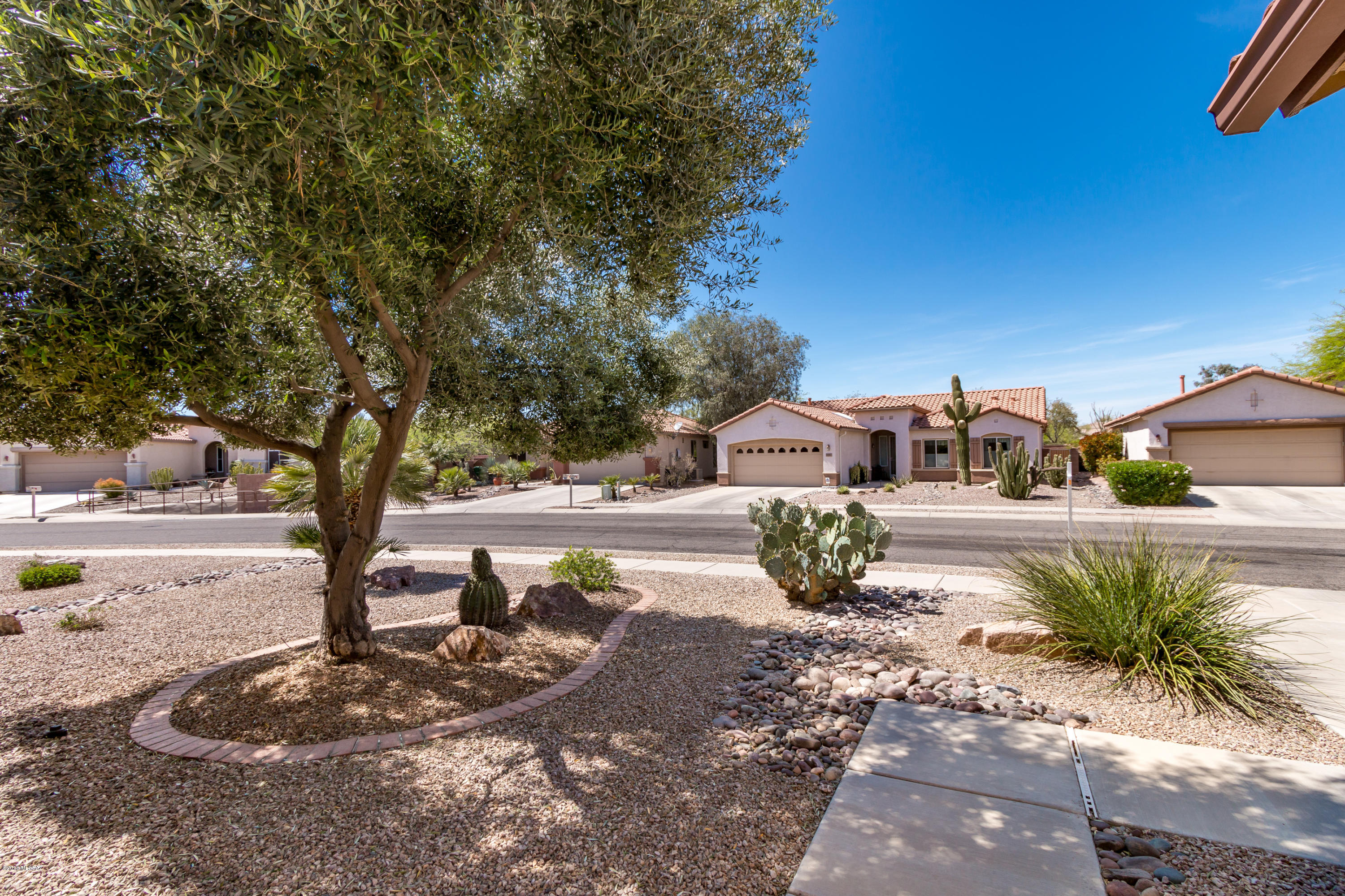 Continental Ranch Sunflower - Residential