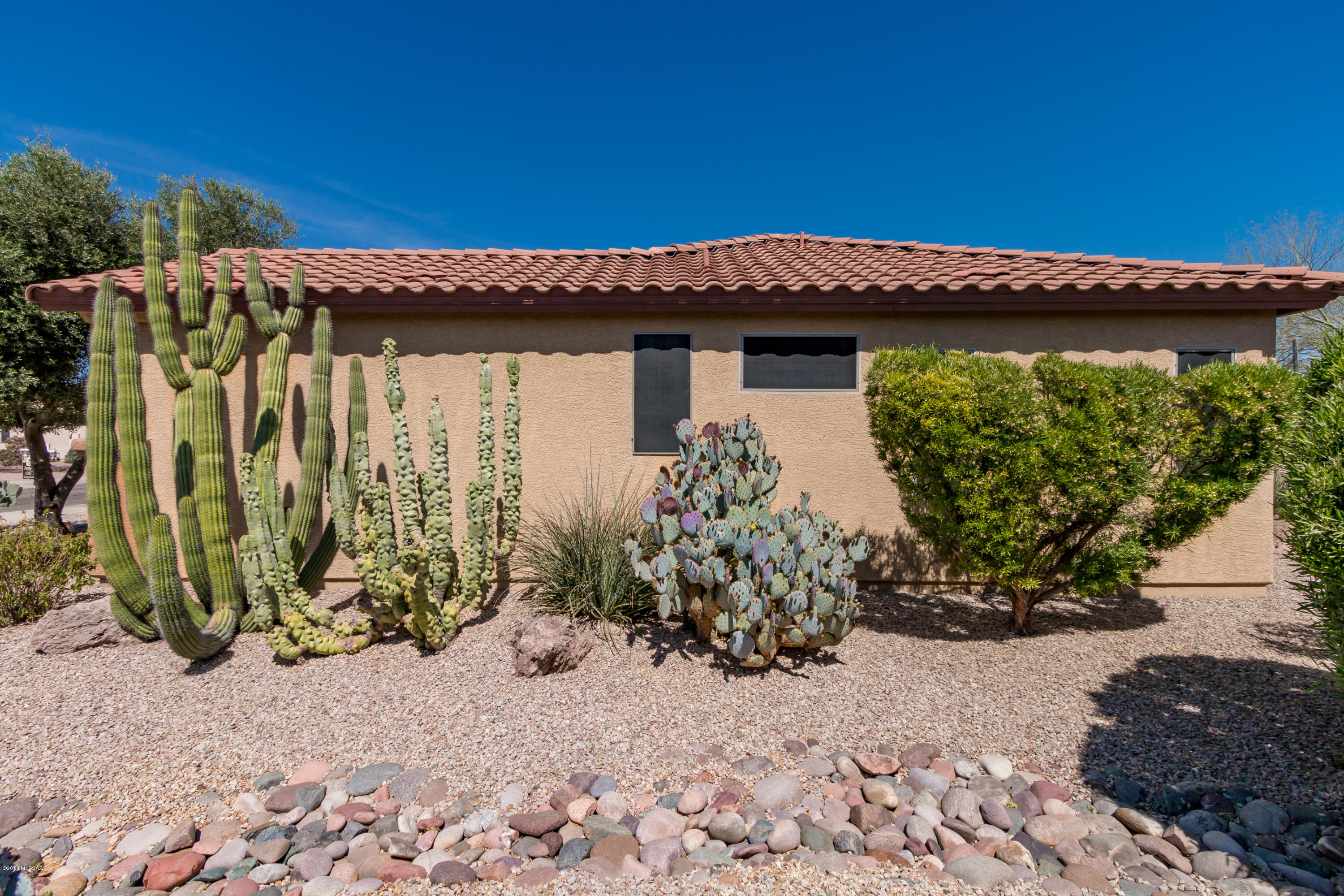 Continental Ranch Sunflower - Residential