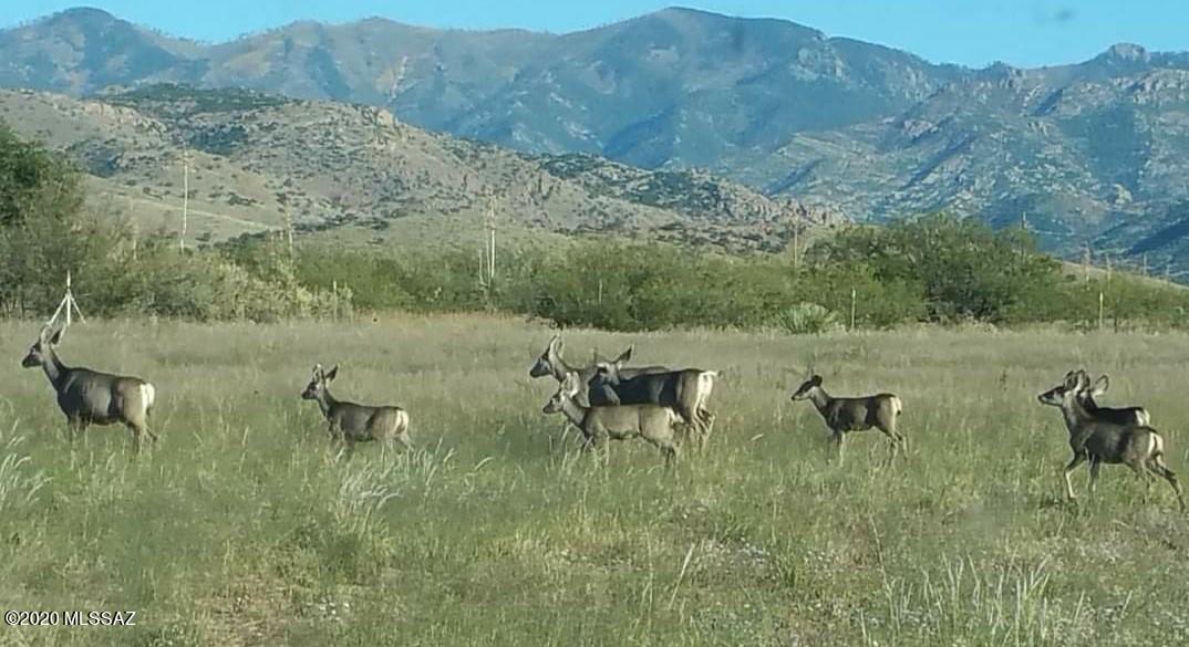 Out Of Pima County - Residential