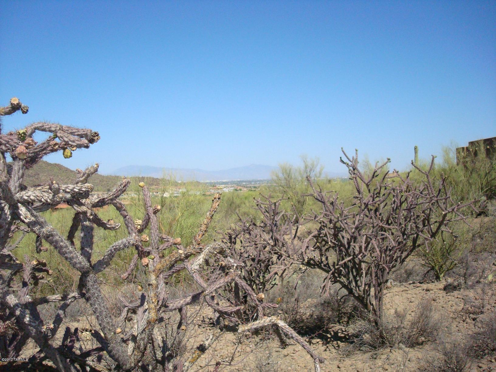 Mesquite Hills (1-21) - Land