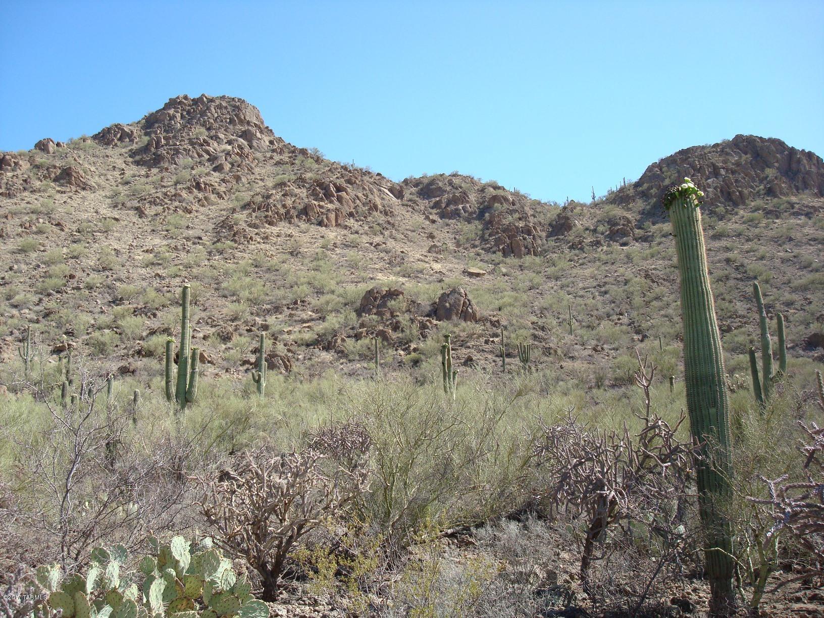Mesquite Hills (1-21) - Land