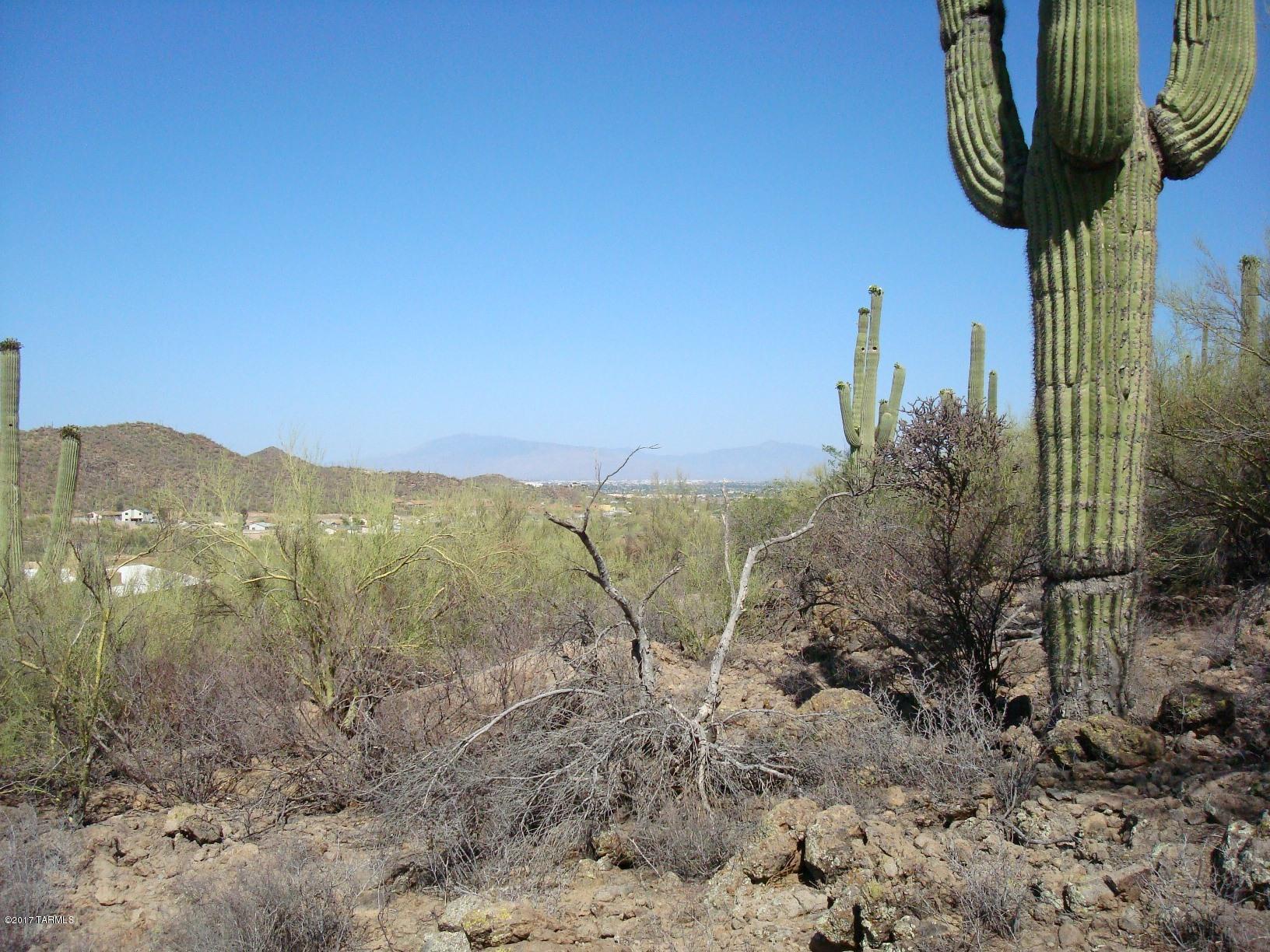 Mesquite Hills (1-21) - Land