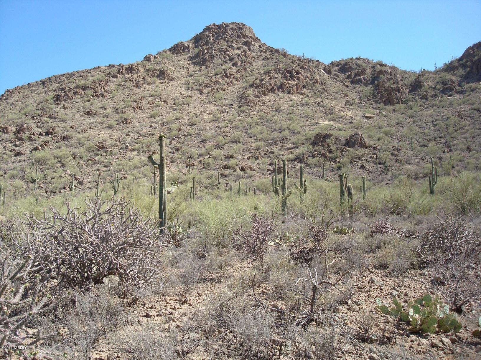 Mesquite Hills (1-21) - Land