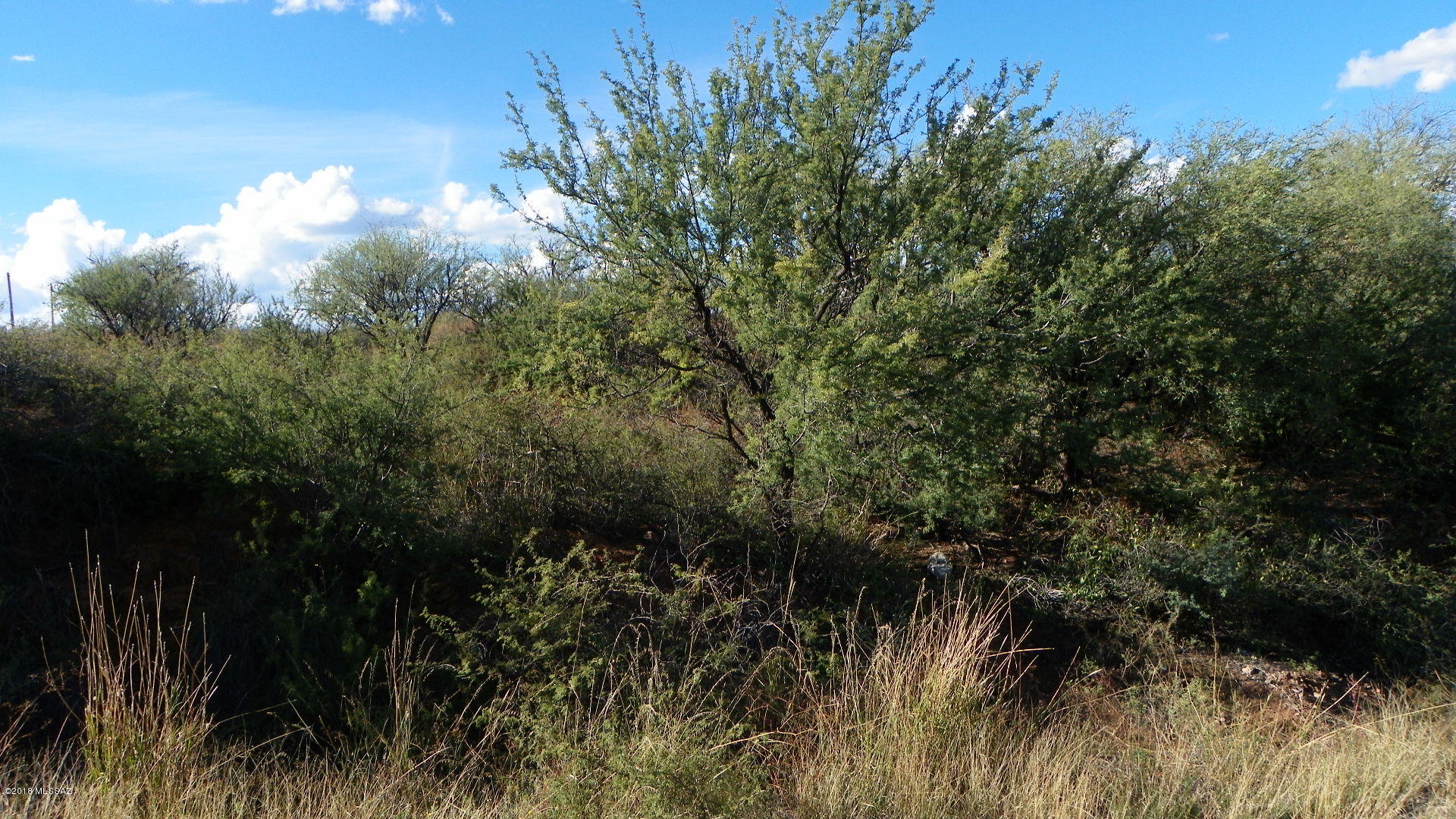 Rio Rico Villas 16 - Land