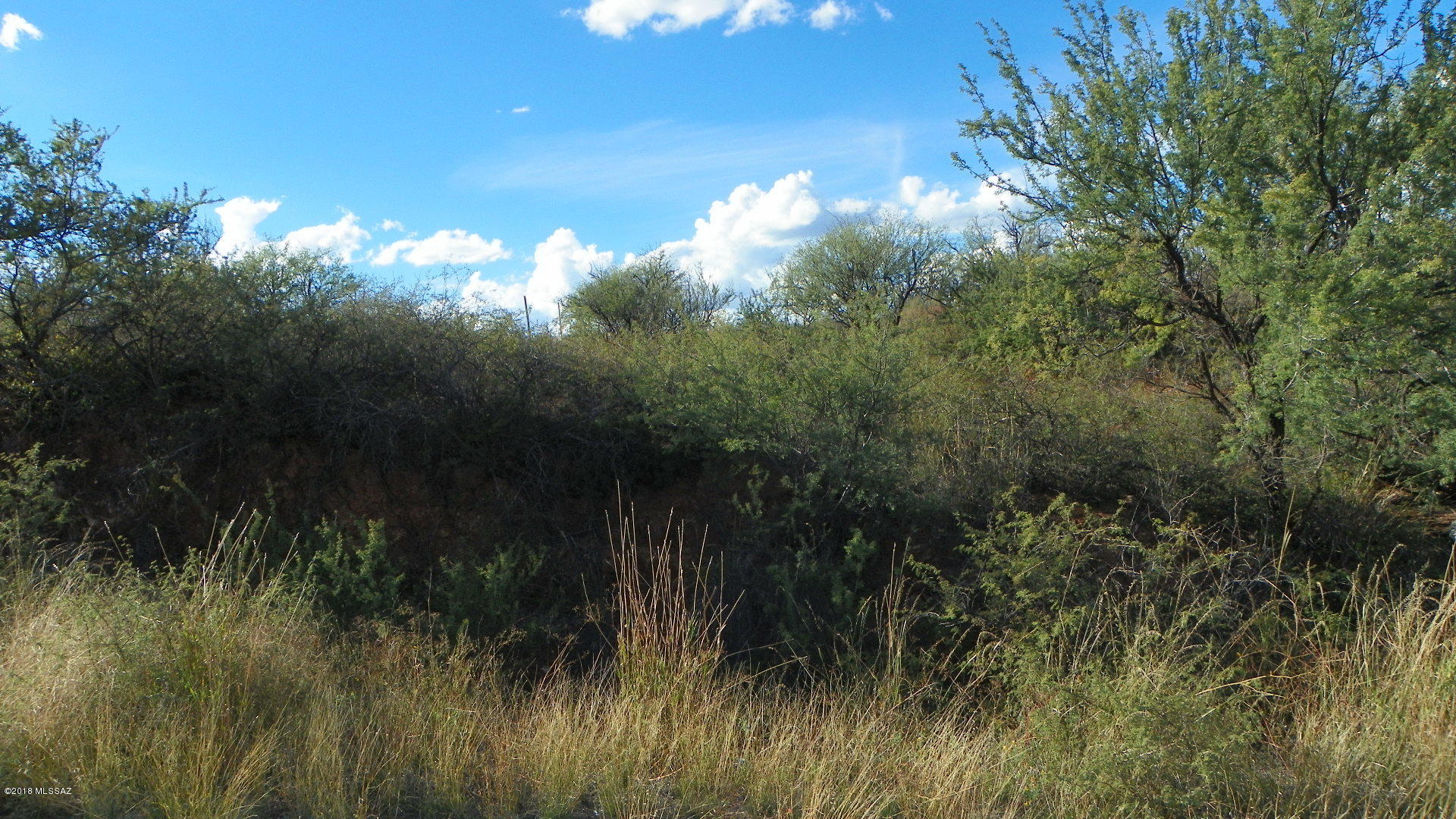 Rio Rico Villas 16 - Land