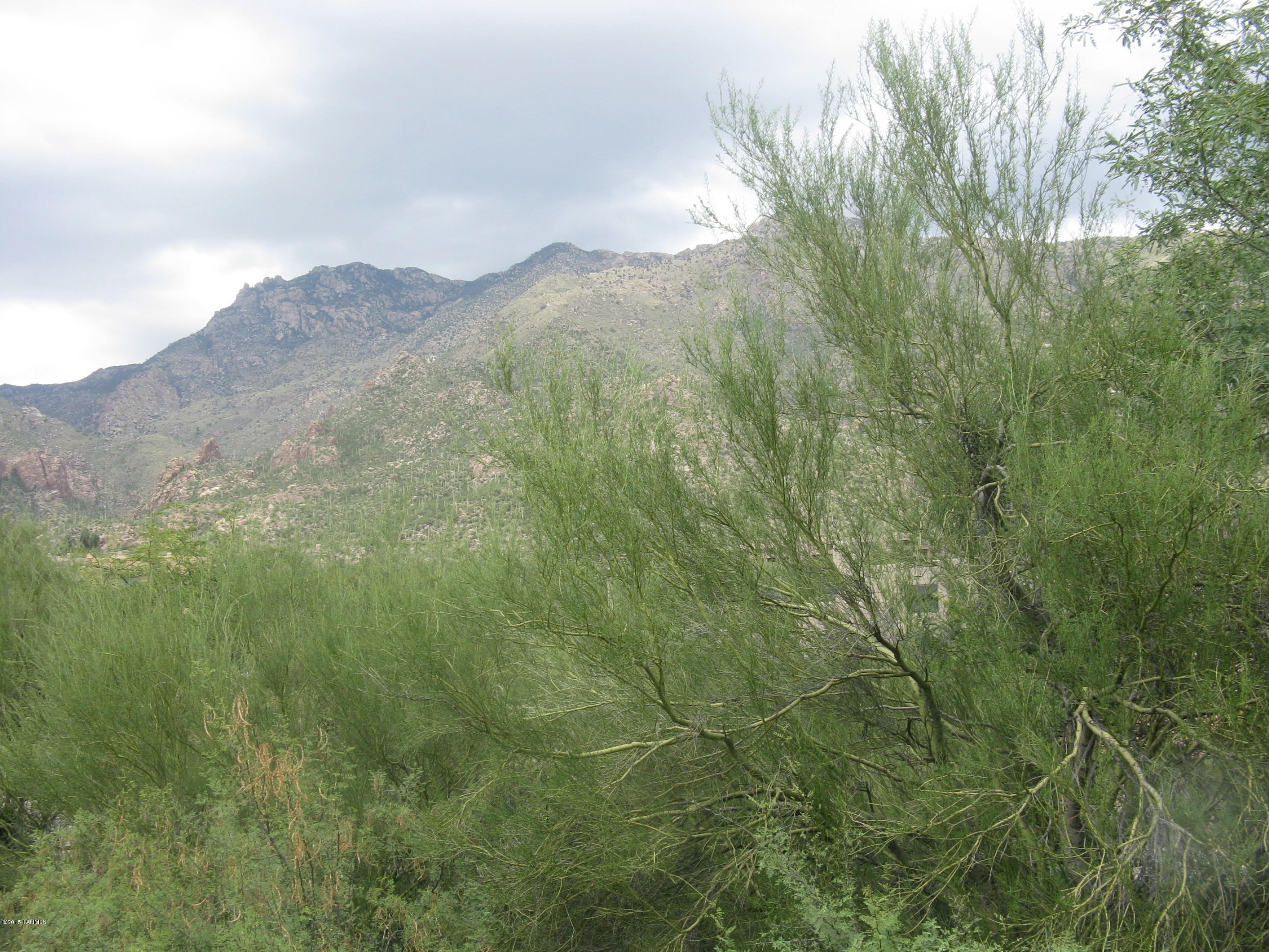 The Ridge At Ventana Canyon (1-63) - Land