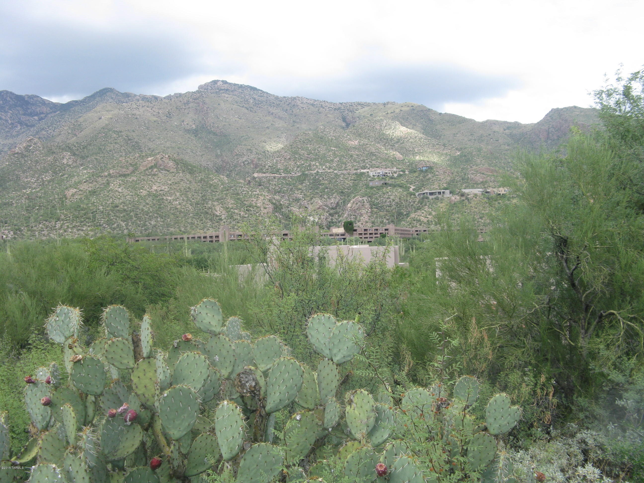 The Ridge At Ventana Canyon (1-63) - Land