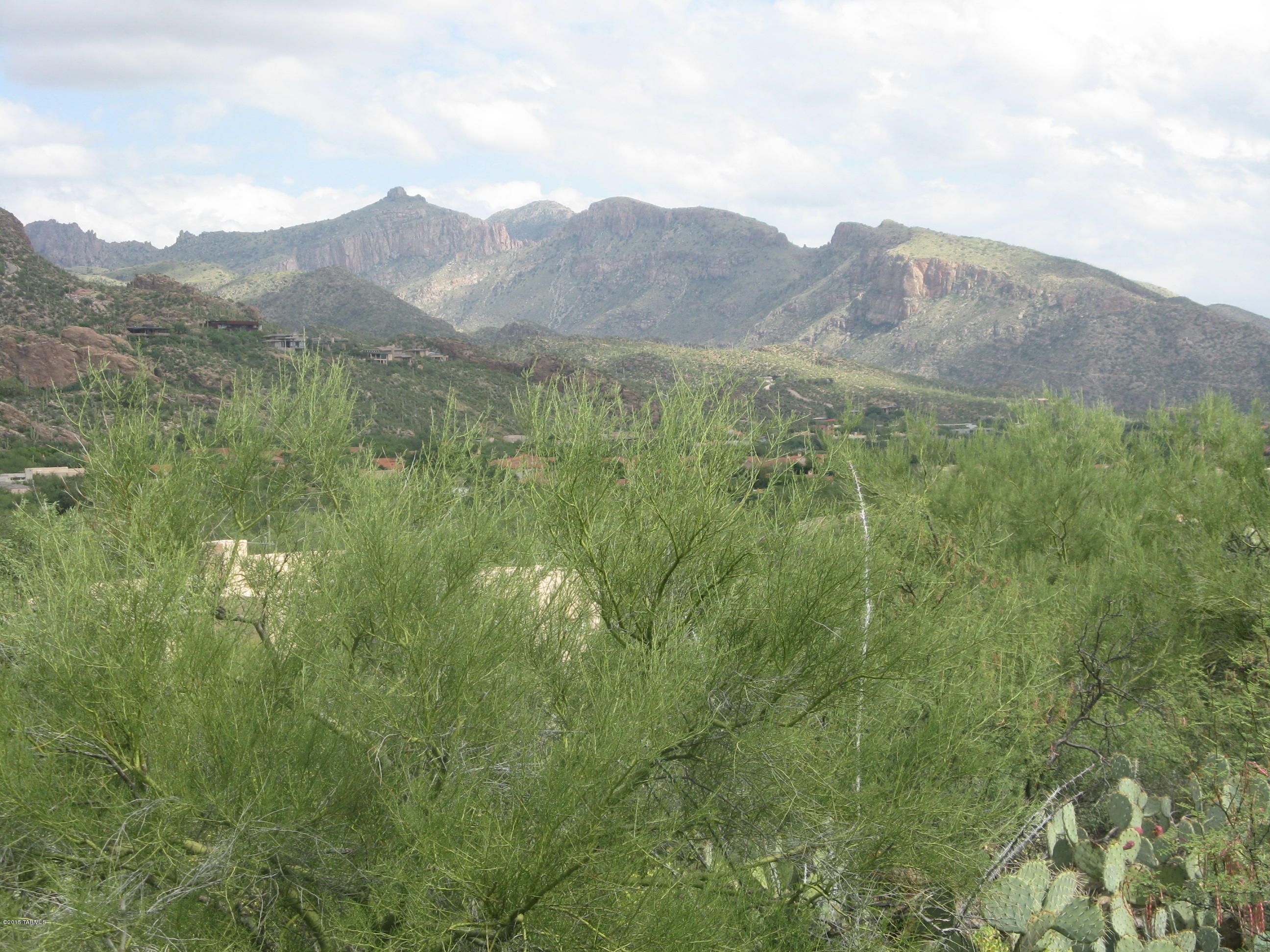 The Ridge At Ventana Canyon (1-63) - Land