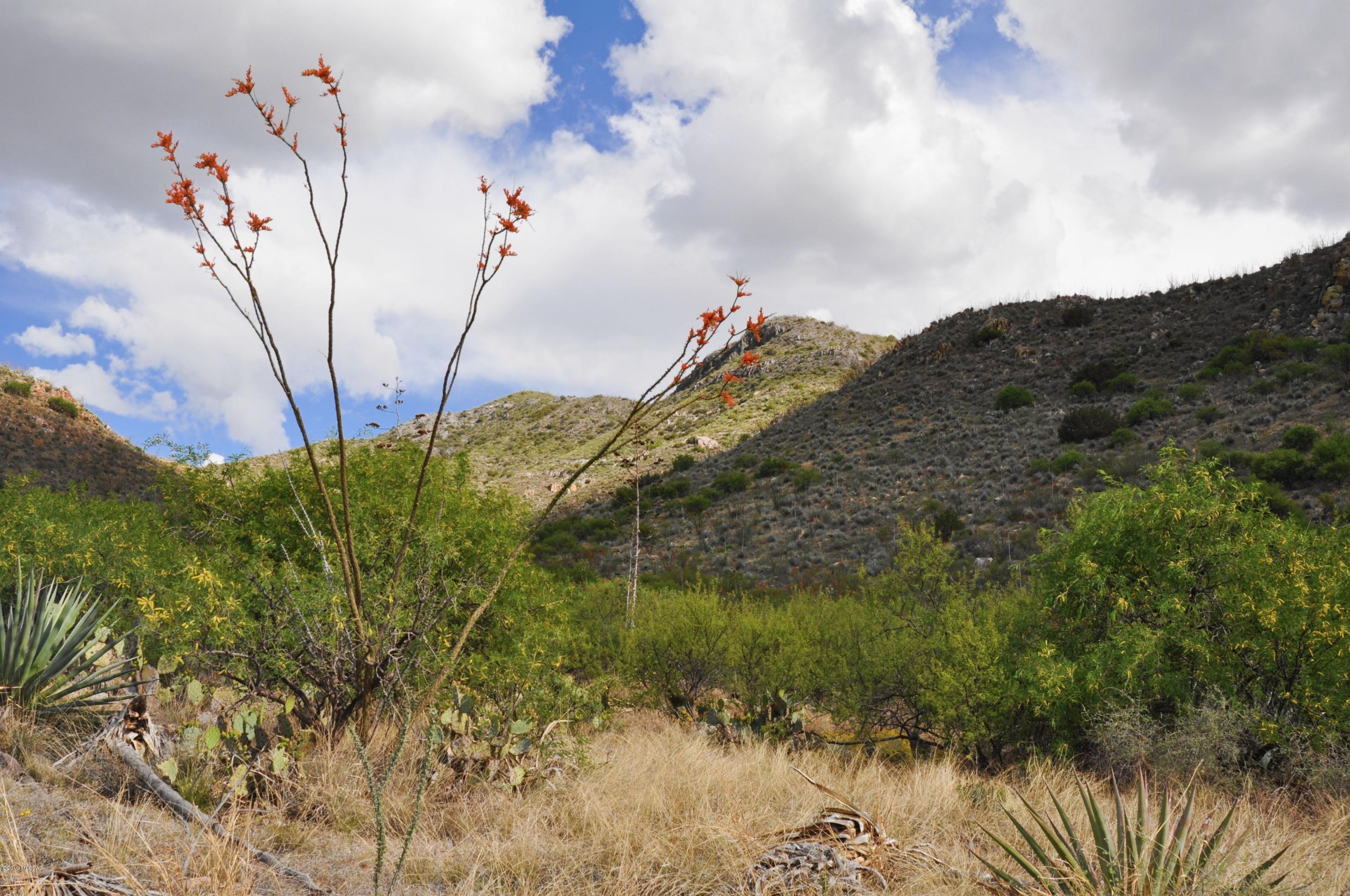 Looking for an amazing hide-away? 19.48 ACRES DRAMATIC VIEWS! Empire Mountains! 2020 survey attached in MLS documents. Views close-up of the mtns and distant of Tucson Valley! There are amazing natural features! Mini-mtn w/ rocky outcropping along south lot line. Rolling areas at base of hill w/mesquites & dense vegetation! 4600 ft elevation! Enjoy endless hiking, horse or quad riding - federal and state land within a half mile! There's no HOA or deed restrictions to limit your designs, site built or manufactured. In less than an hour, you can drive to downtown Tucson via SR 83 and I-10. In 20 min you can be in the wine county of Sonoita/Elgin!