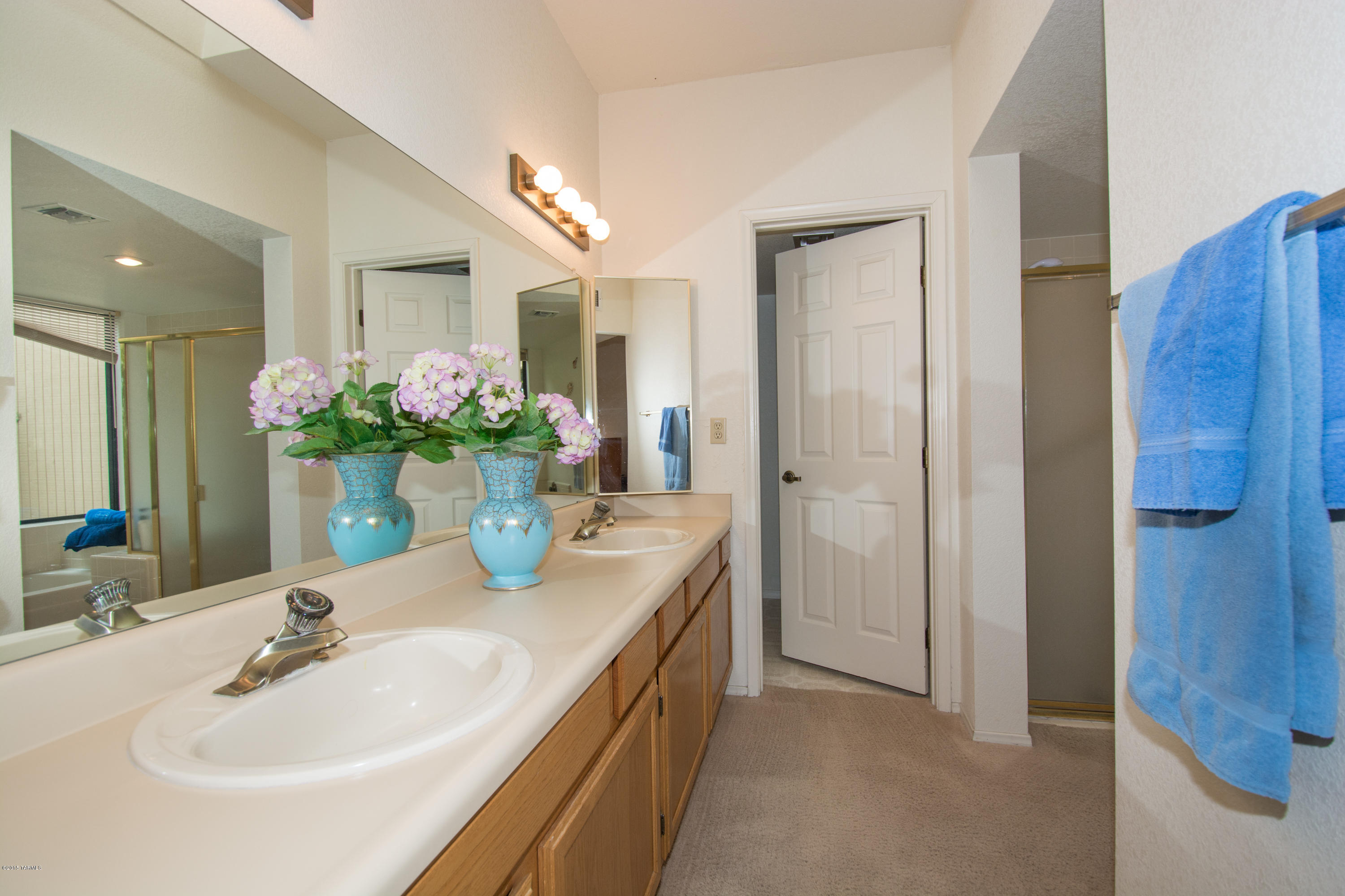 La Cholla Hills(1-313) - Residential