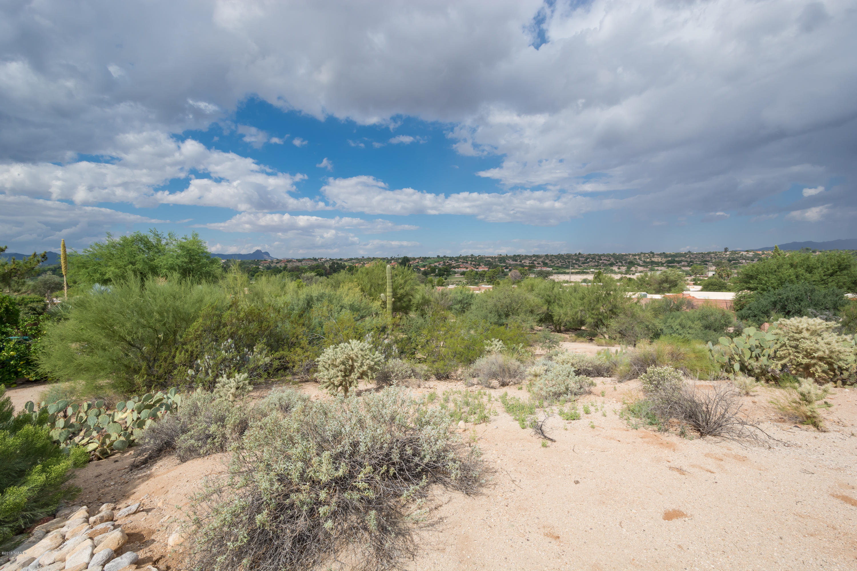 La Cholla Hills(1-313) - Residential